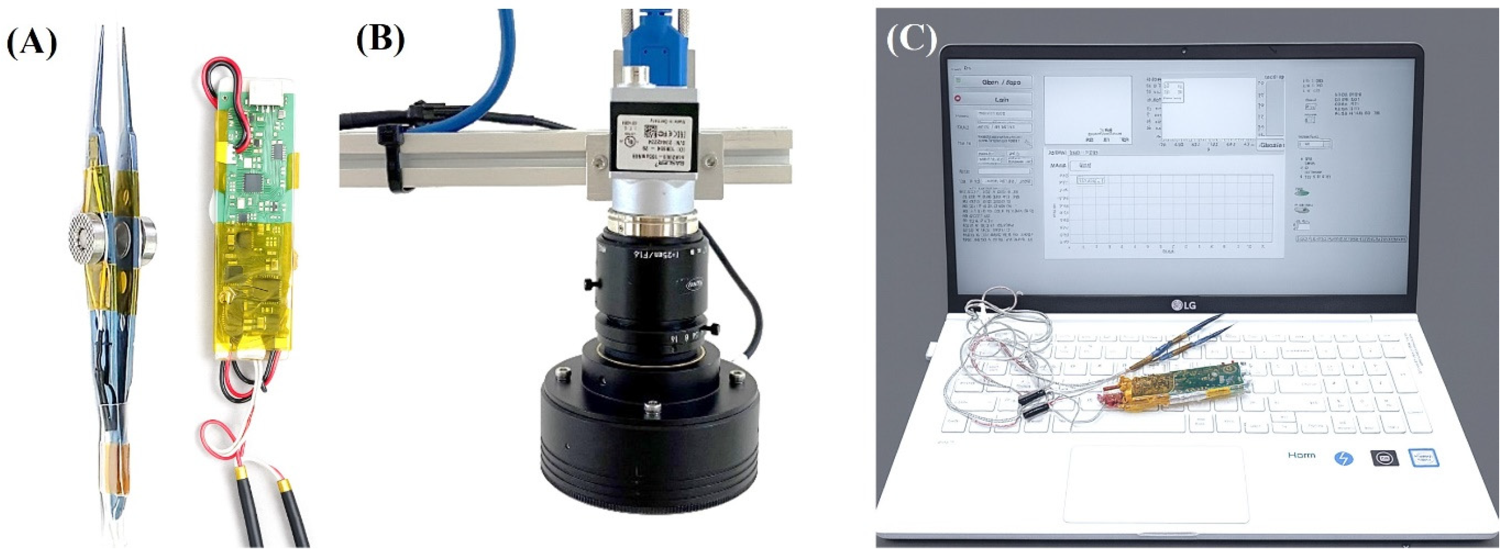 Biosensors 15 00769 g001
