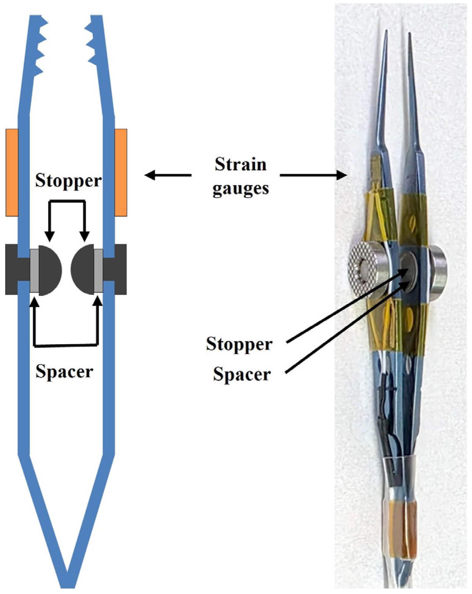 Biosensors 15 00769 g002