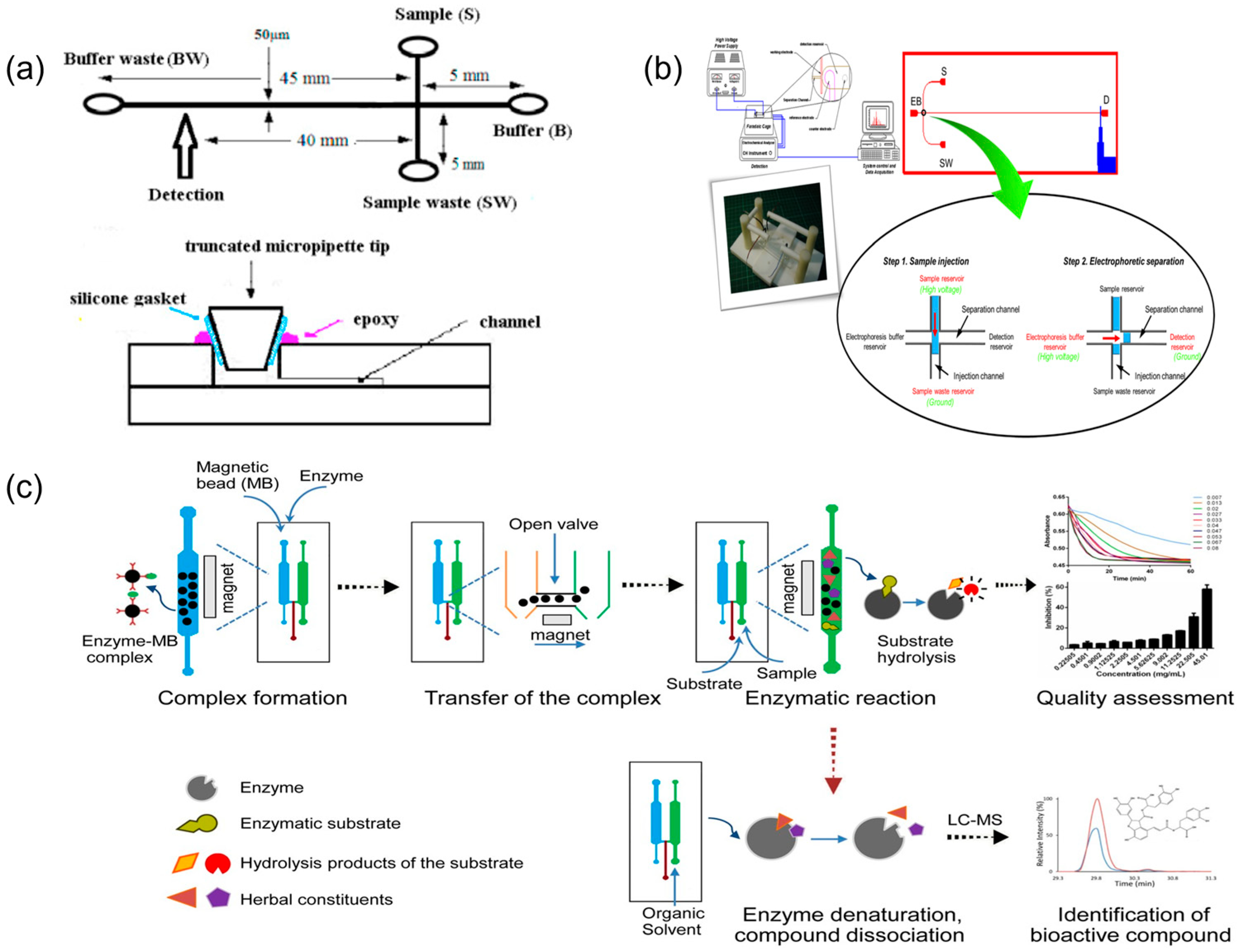 Biosensors 15 00770 g002