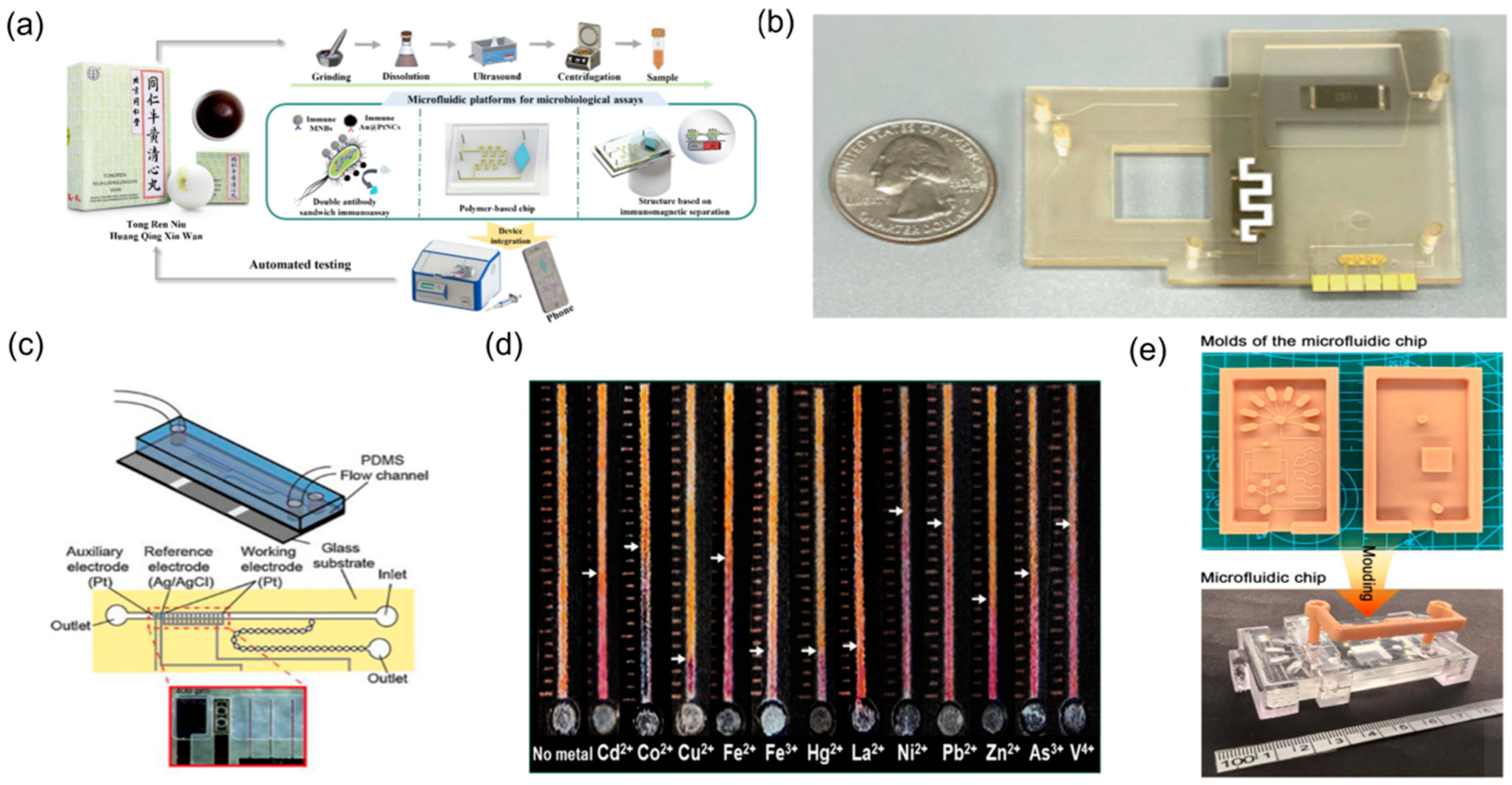 Biosensors 15 00770 g003