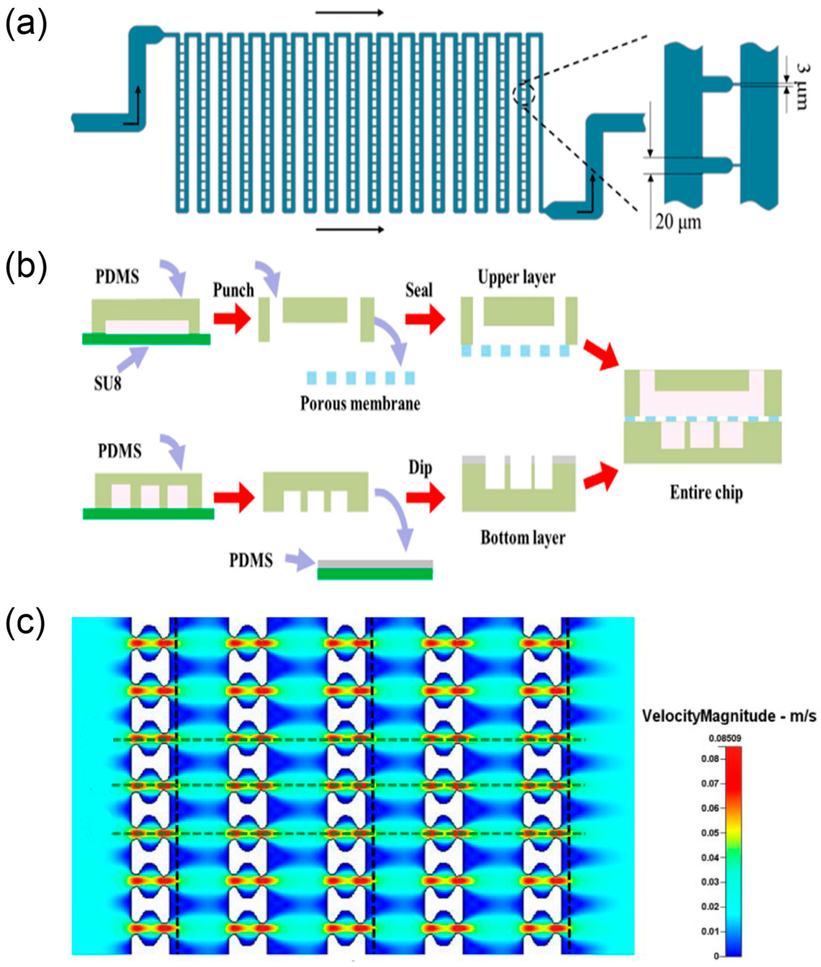 Biosensors 15 00770 g005