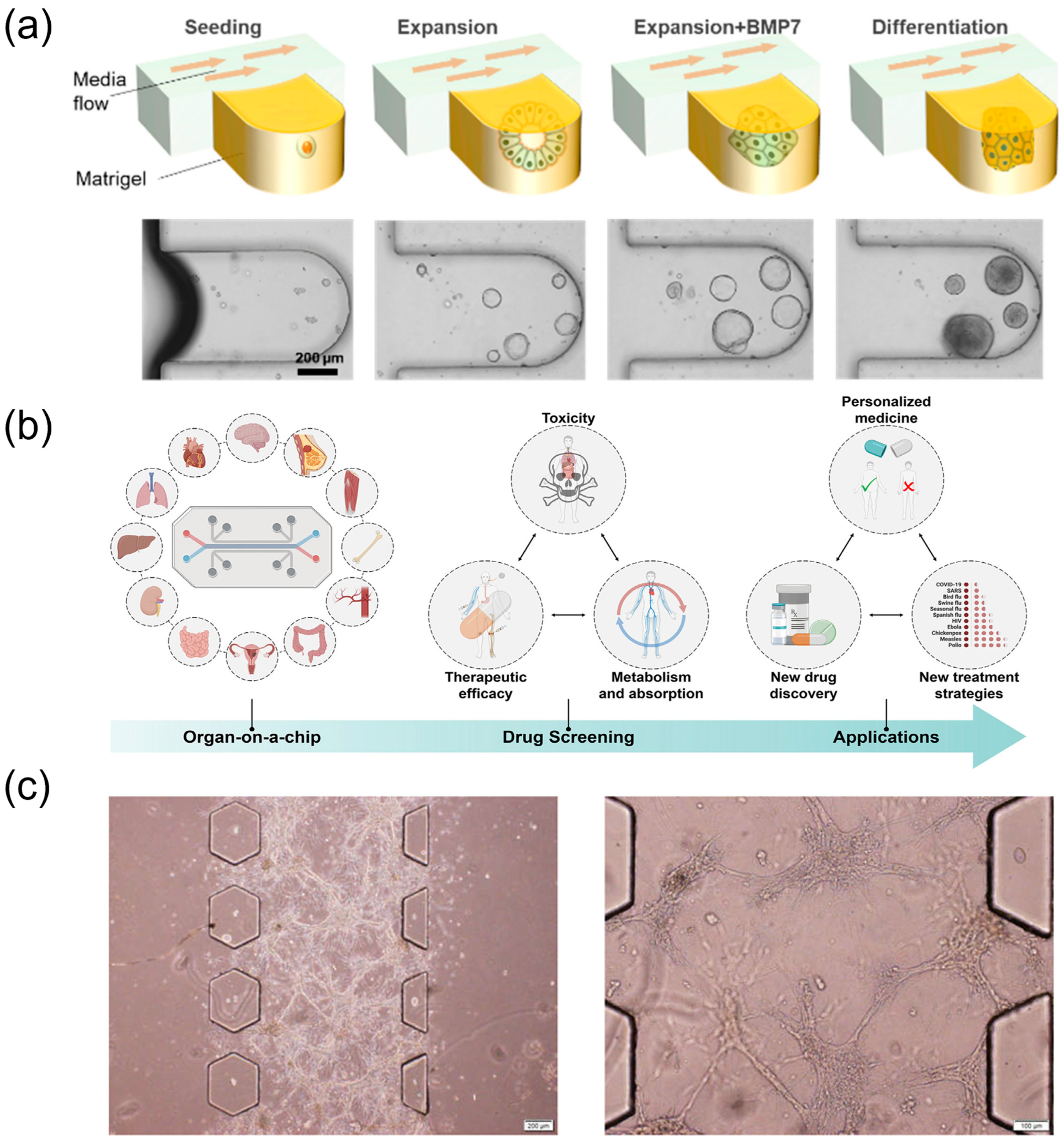 Biosensors 15 00770 g006