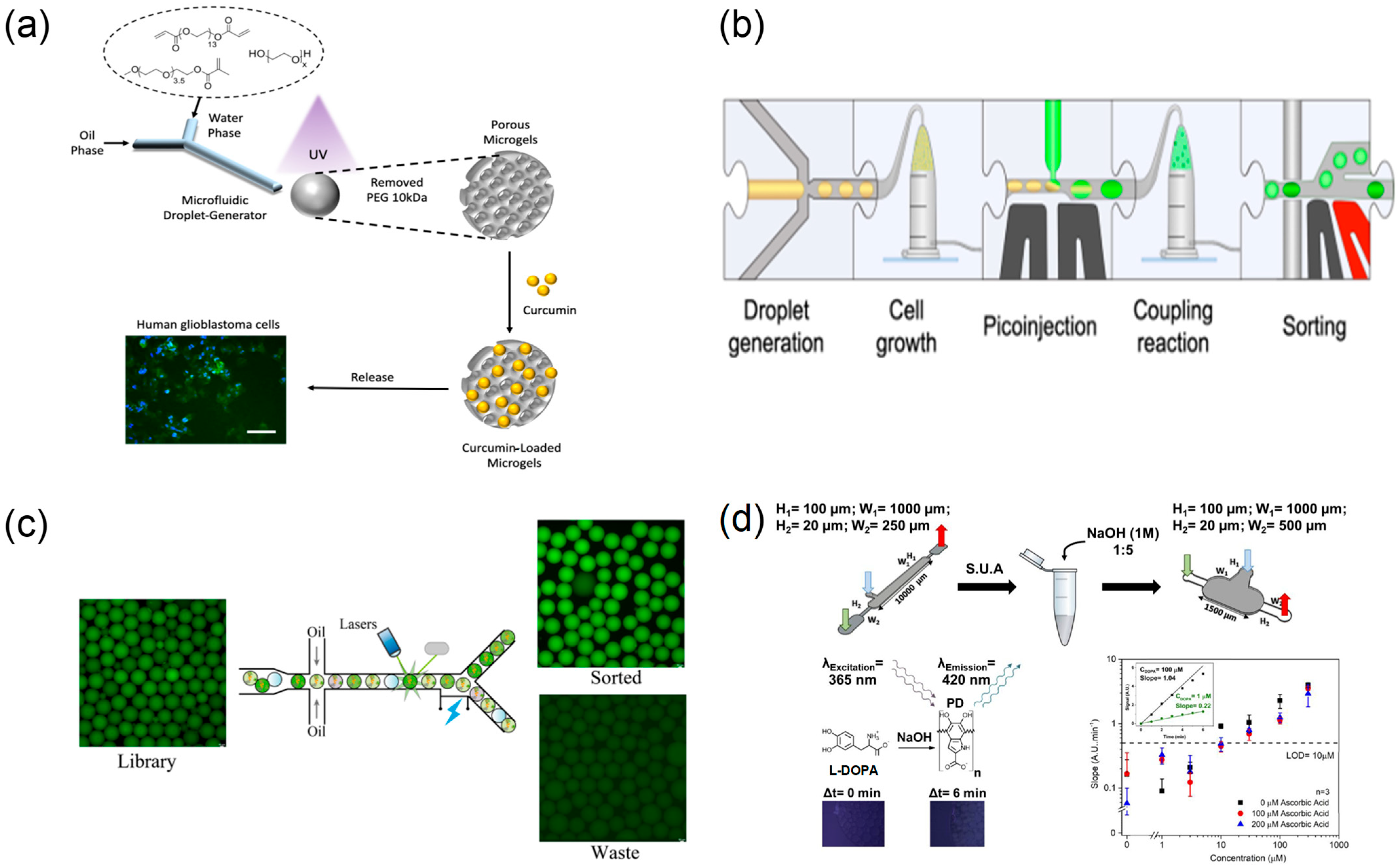 Biosensors 15 00770 g008