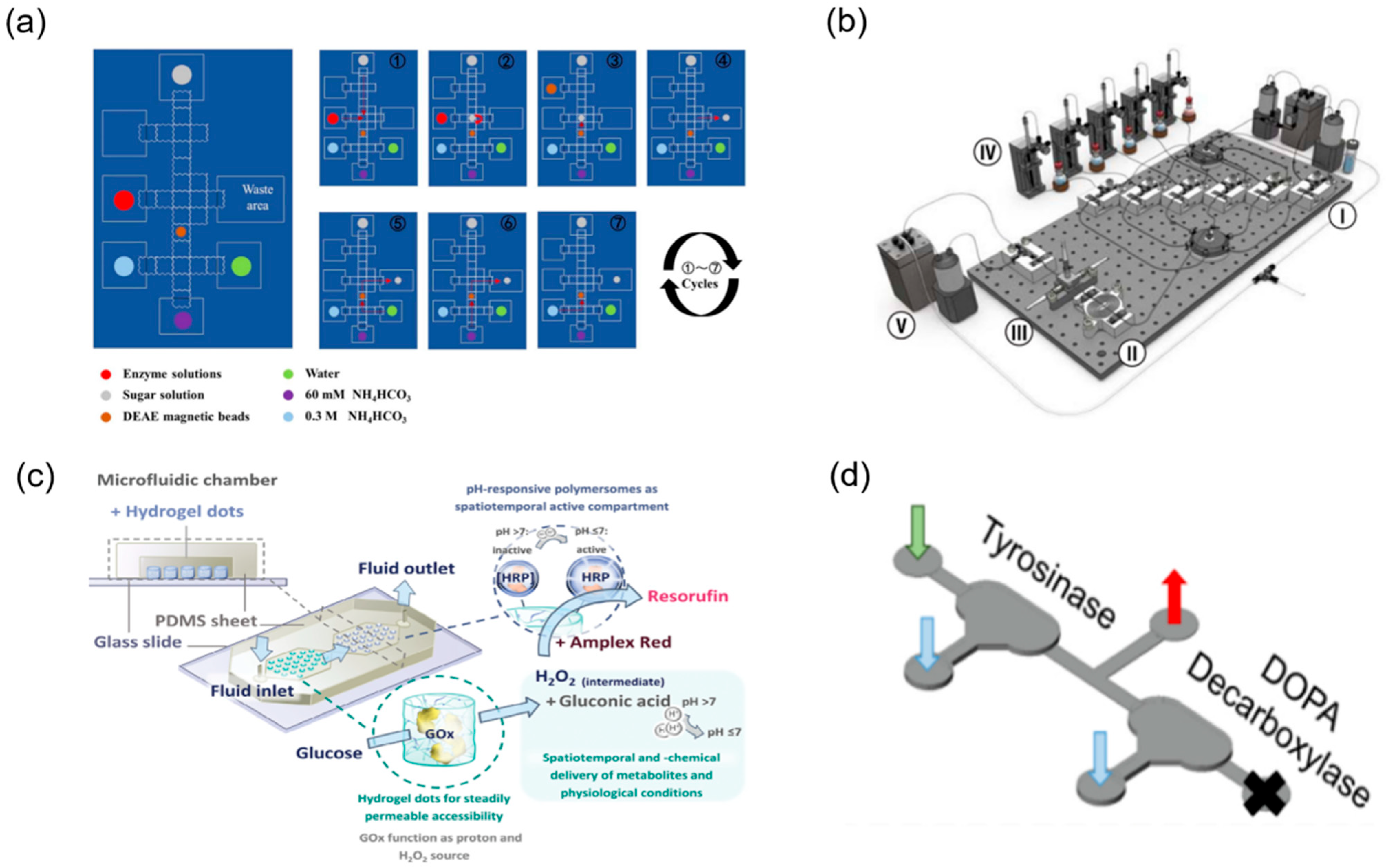 Biosensors 15 00770 g009