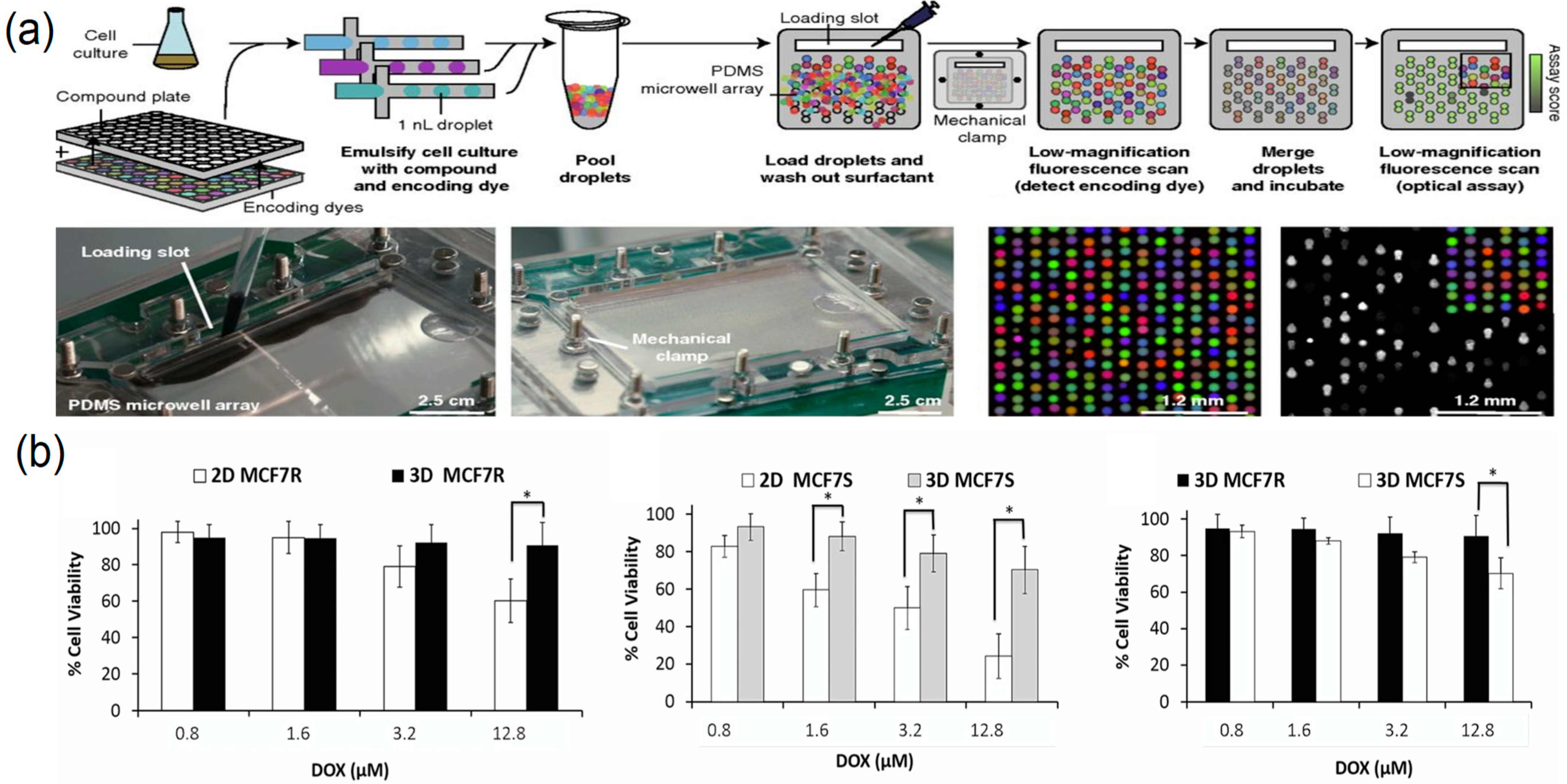 Biosensors 15 00770 g010