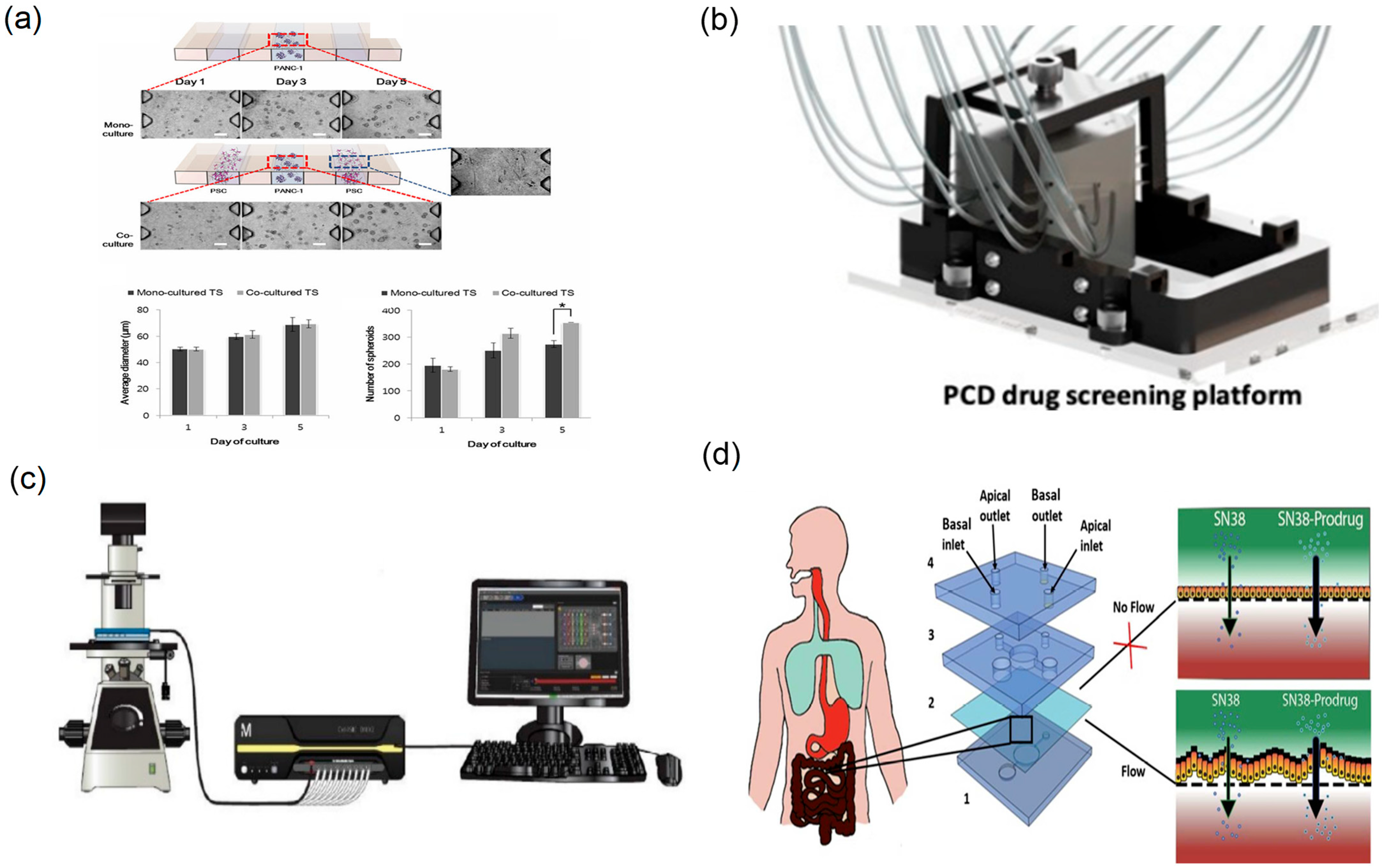 Biosensors 15 00770 g011