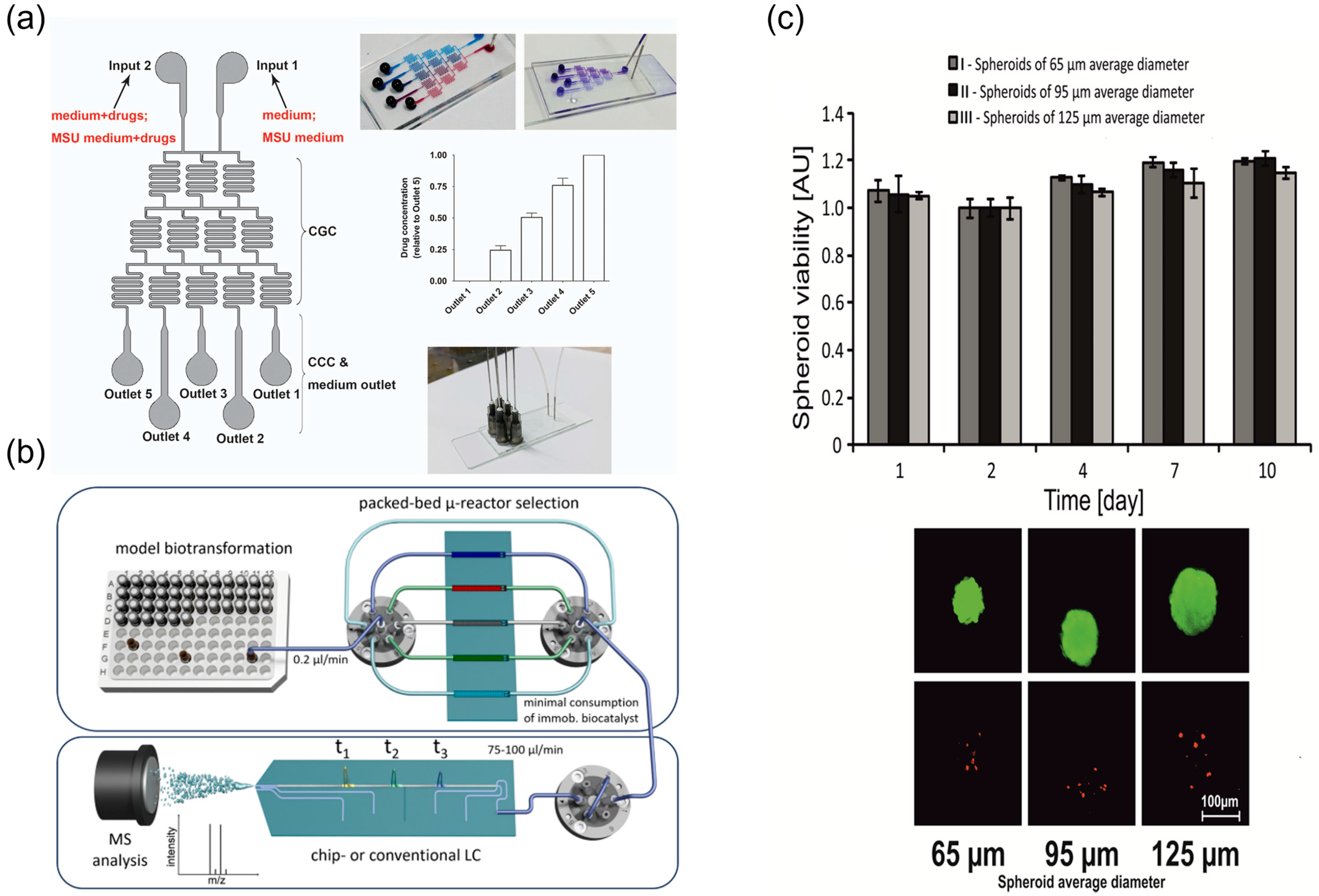 Biosensors 15 00770 g012