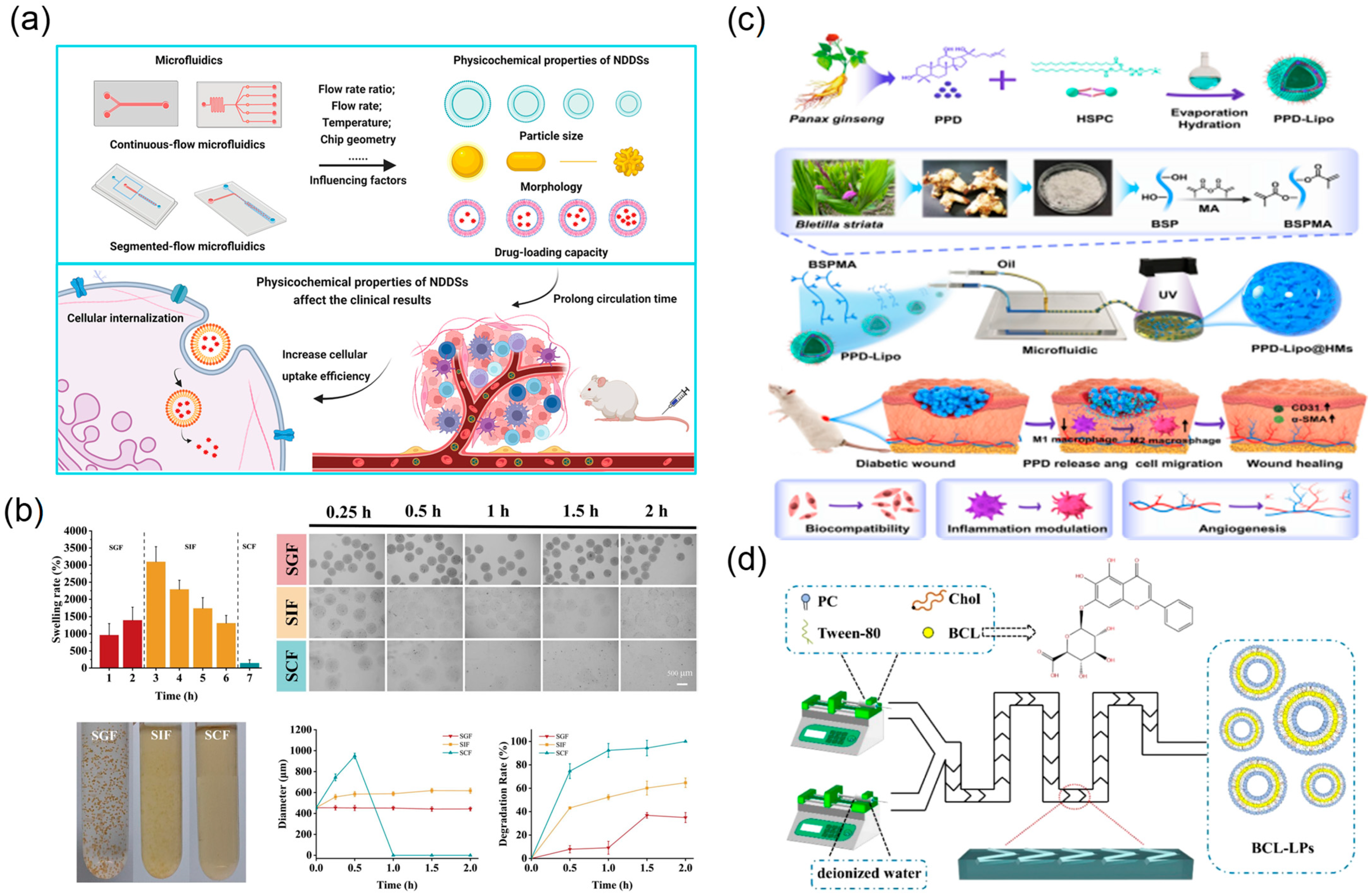 Biosensors 15 00770 g013