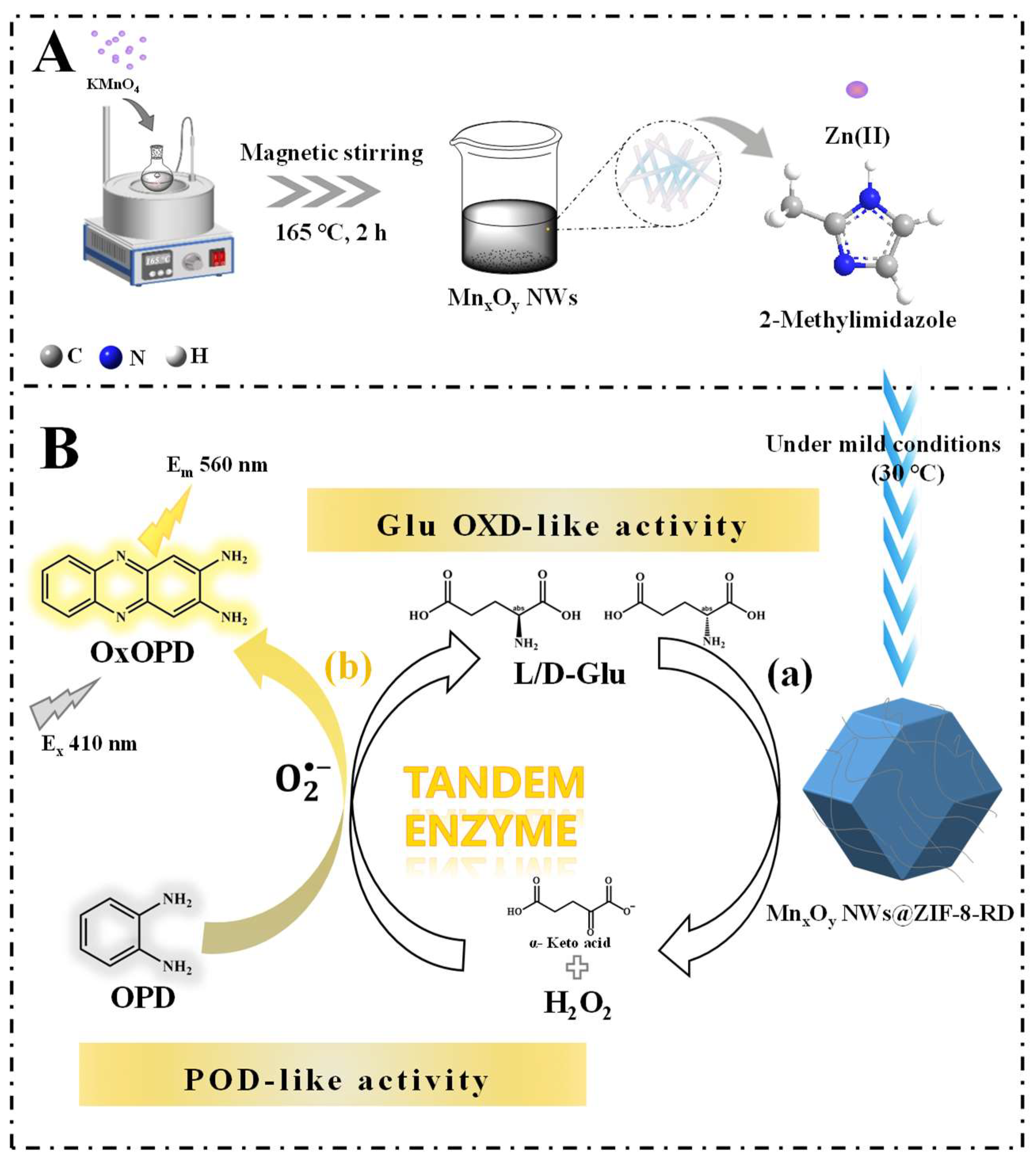 Biosensors 15 00771 g001