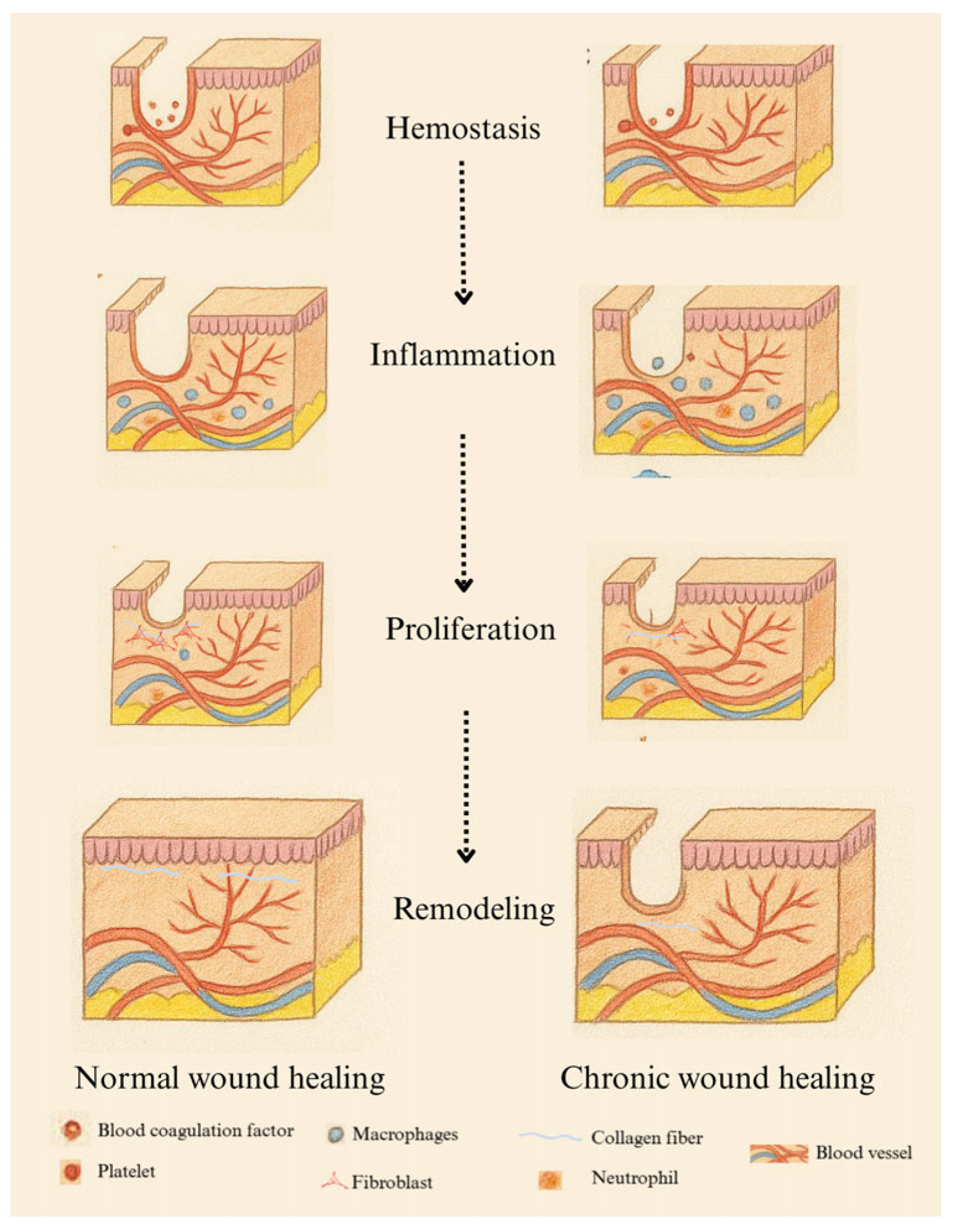 Biosensors 15 00773 g001