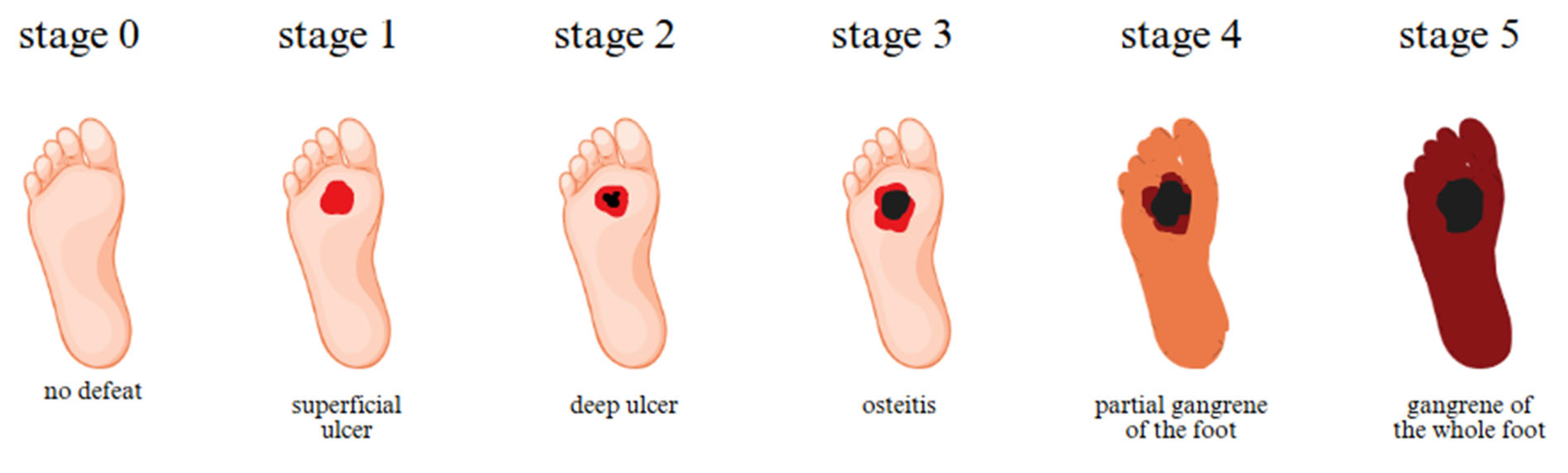 Biosensors 15 00773 g002