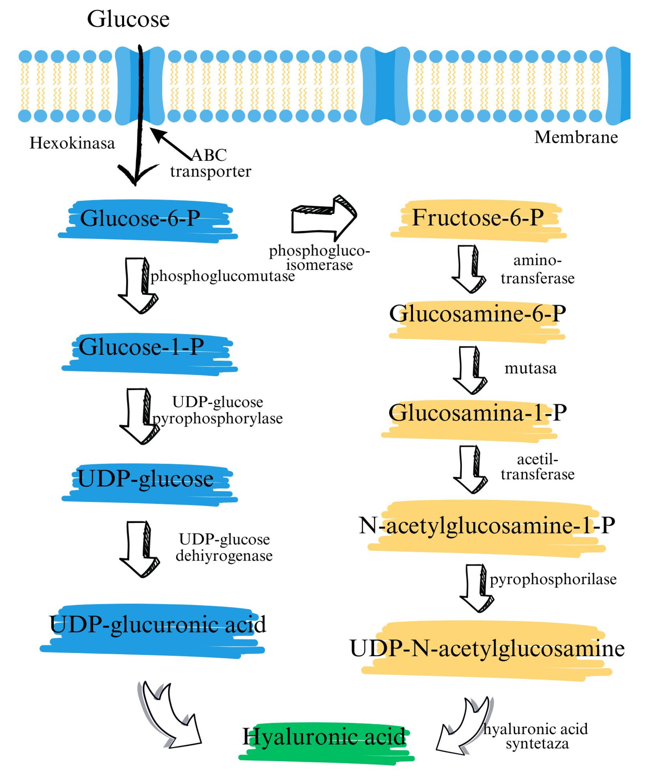 Biosensors 15 00773 g004