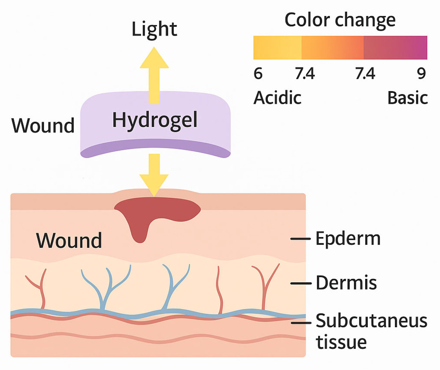 Biosensors 15 00773 g005