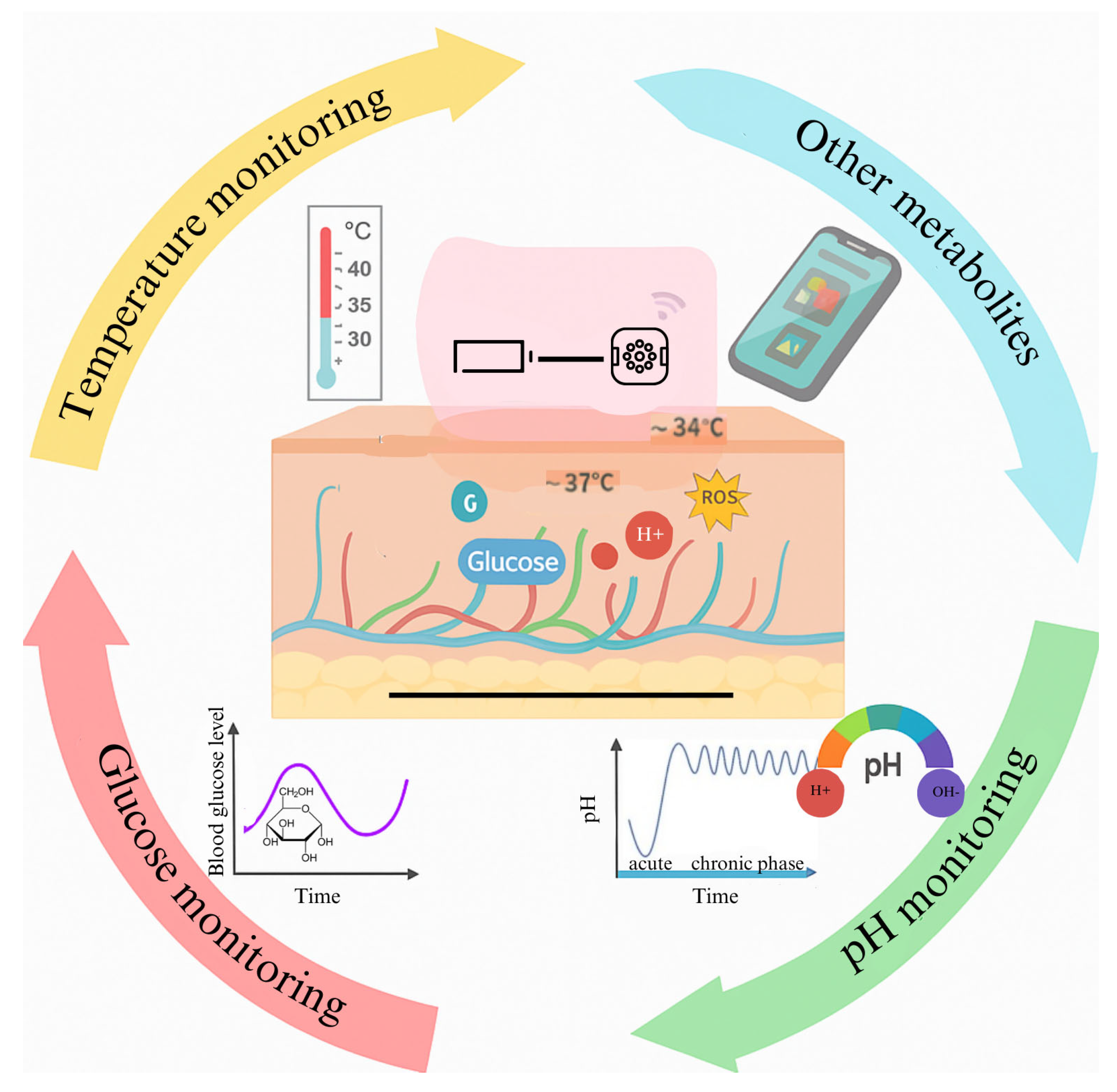 Biosensors 15 00773 g007