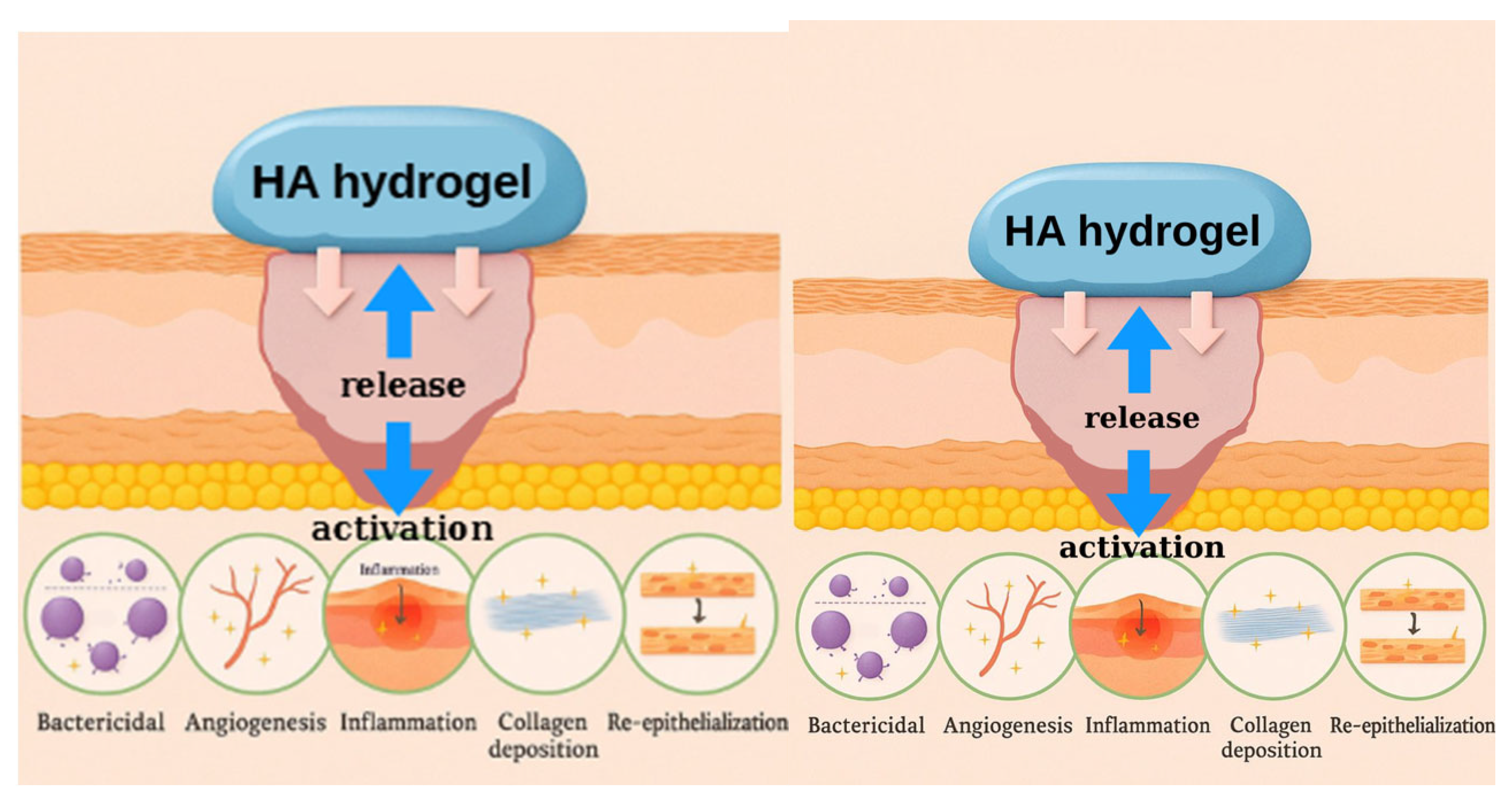 Biosensors 15 00773 g008