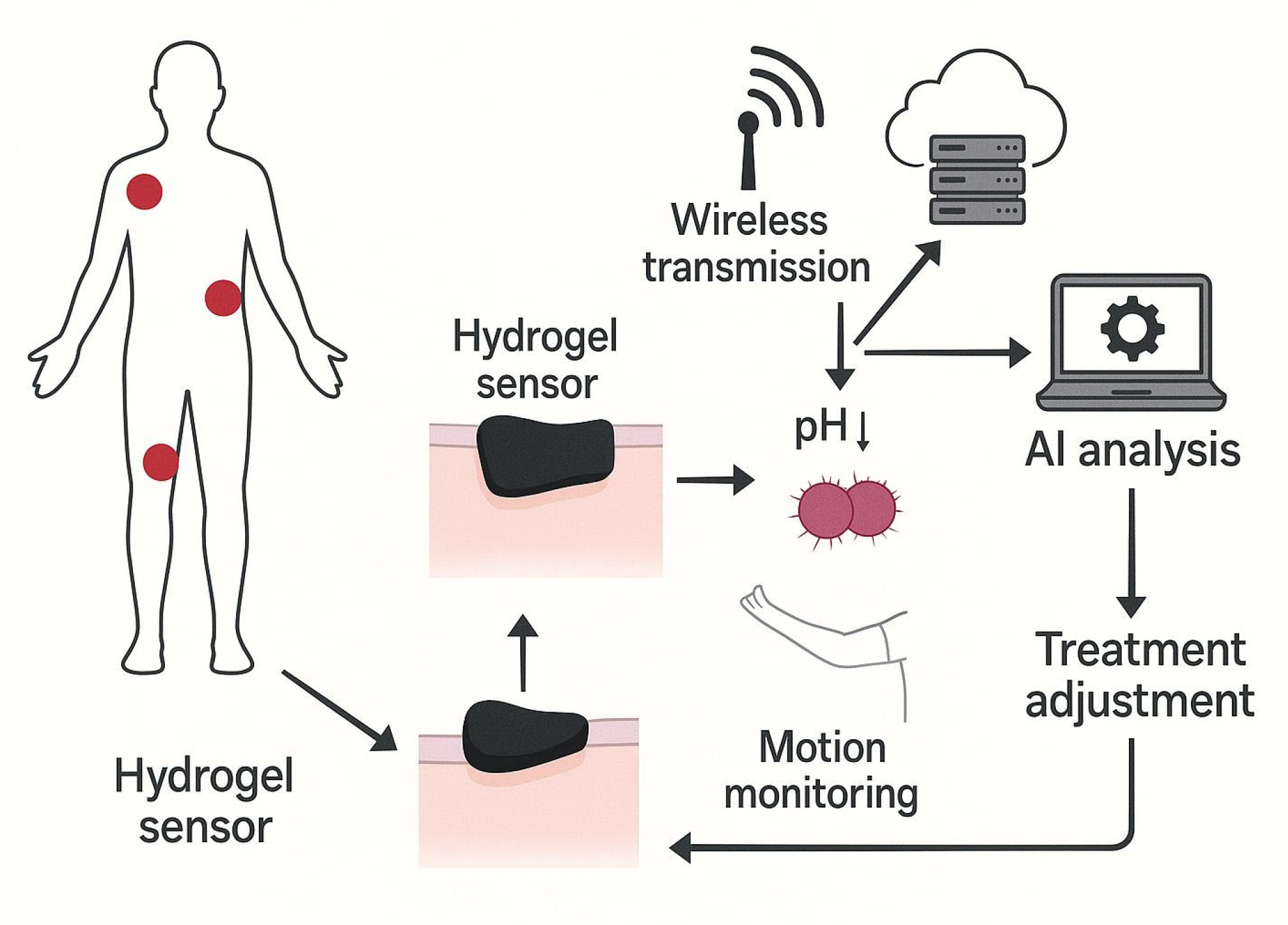 Biosensors 15 00773 g009