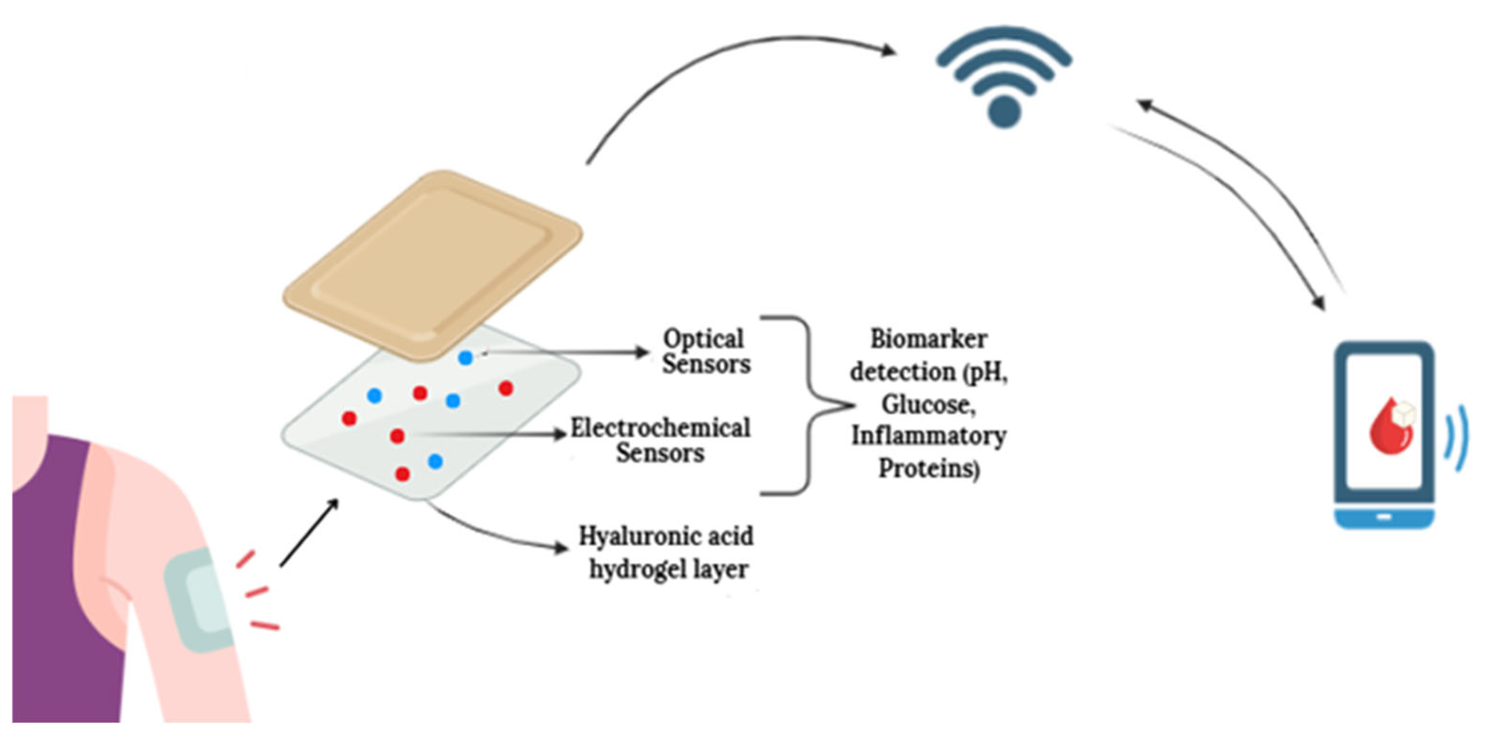 Biosensors 15 00773 g010