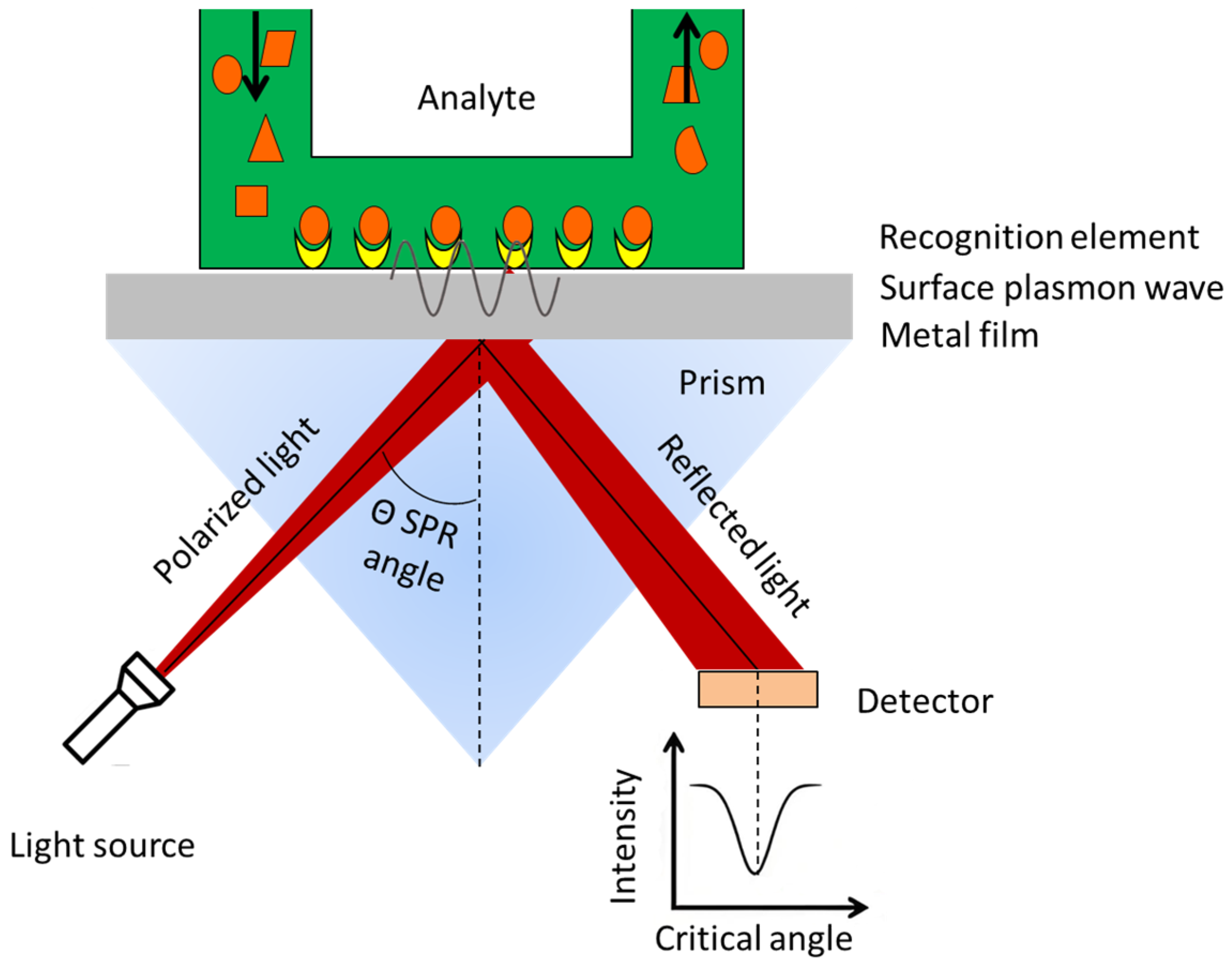 Biosensors 15 00774 g002 Biosensors 15 00774 g002