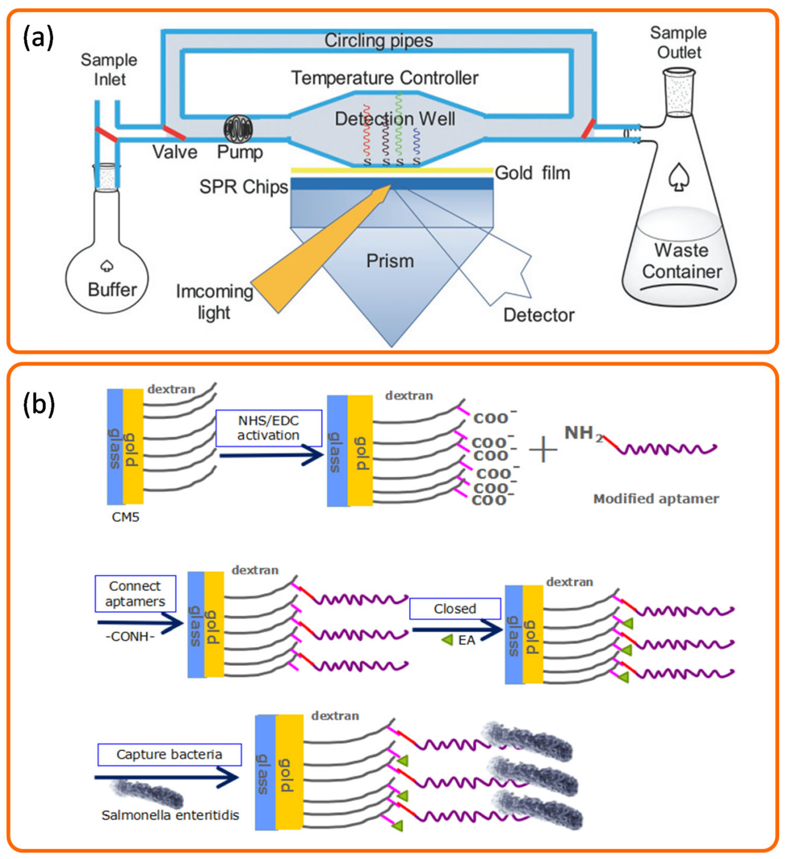 Biosensors 15 00774 g005 Biosensors 15 00774 g005