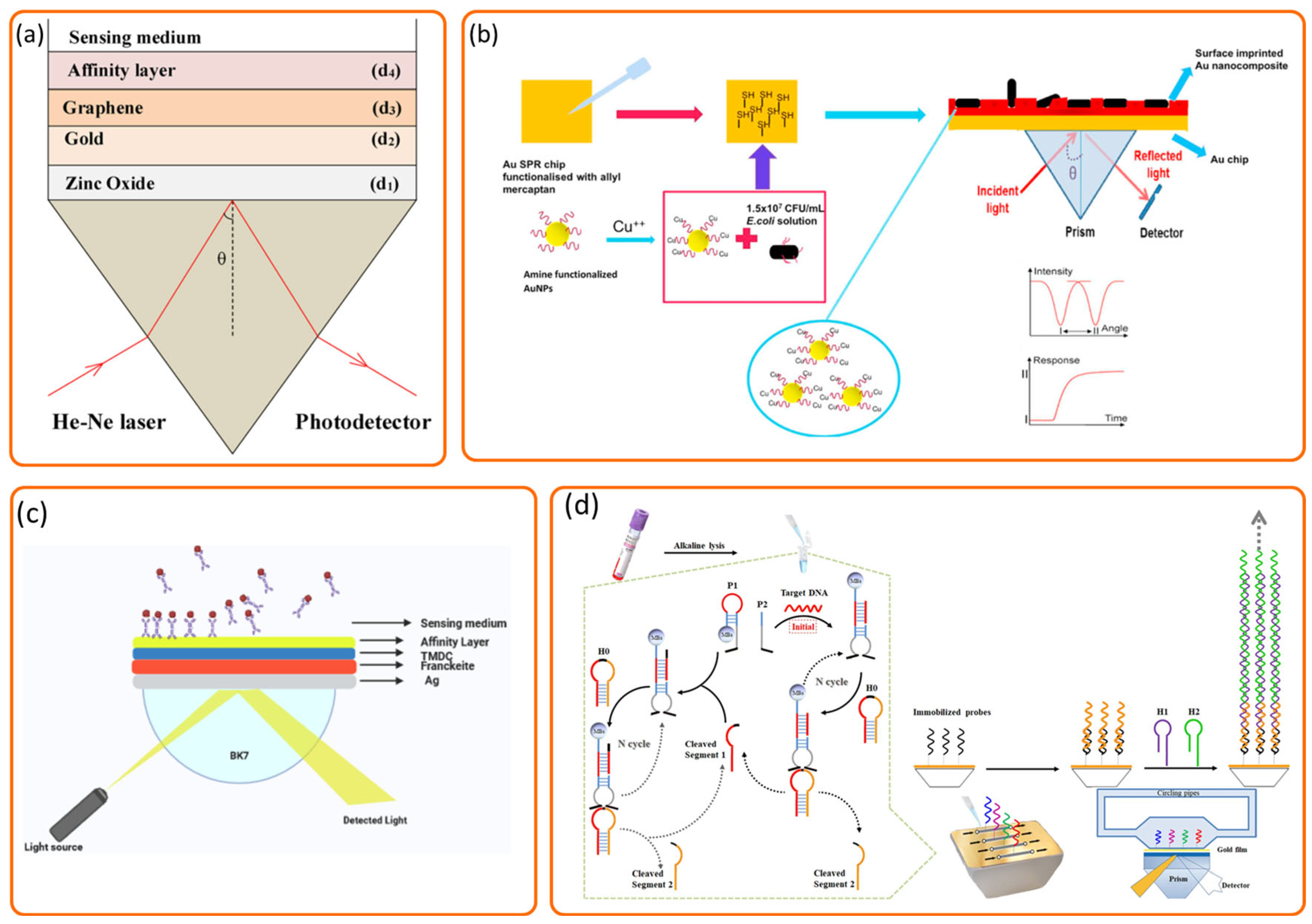 Biosensors 15 00774 g006 Biosensors 15 00774 g006