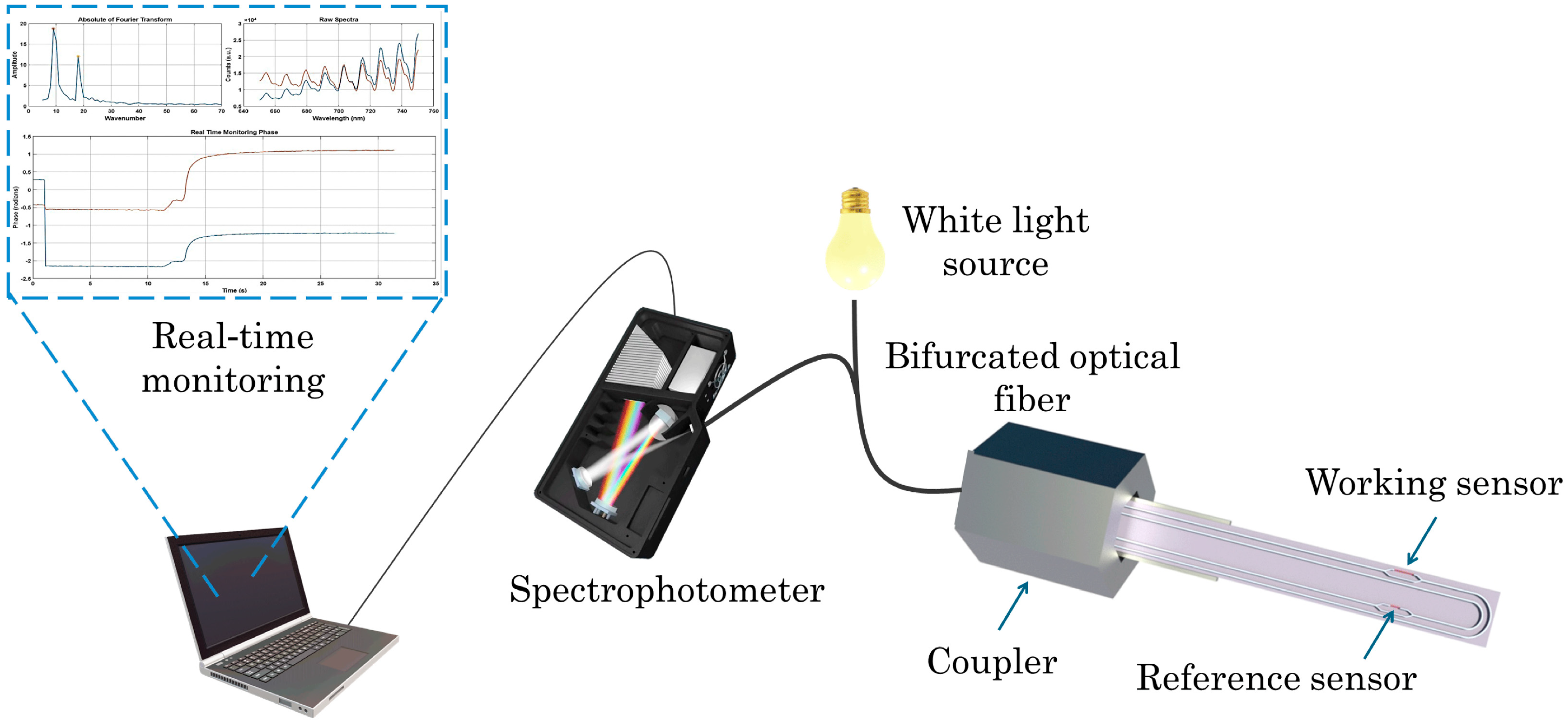 Biosensors 15 00775 g001 Biosensors 15 00775 g001