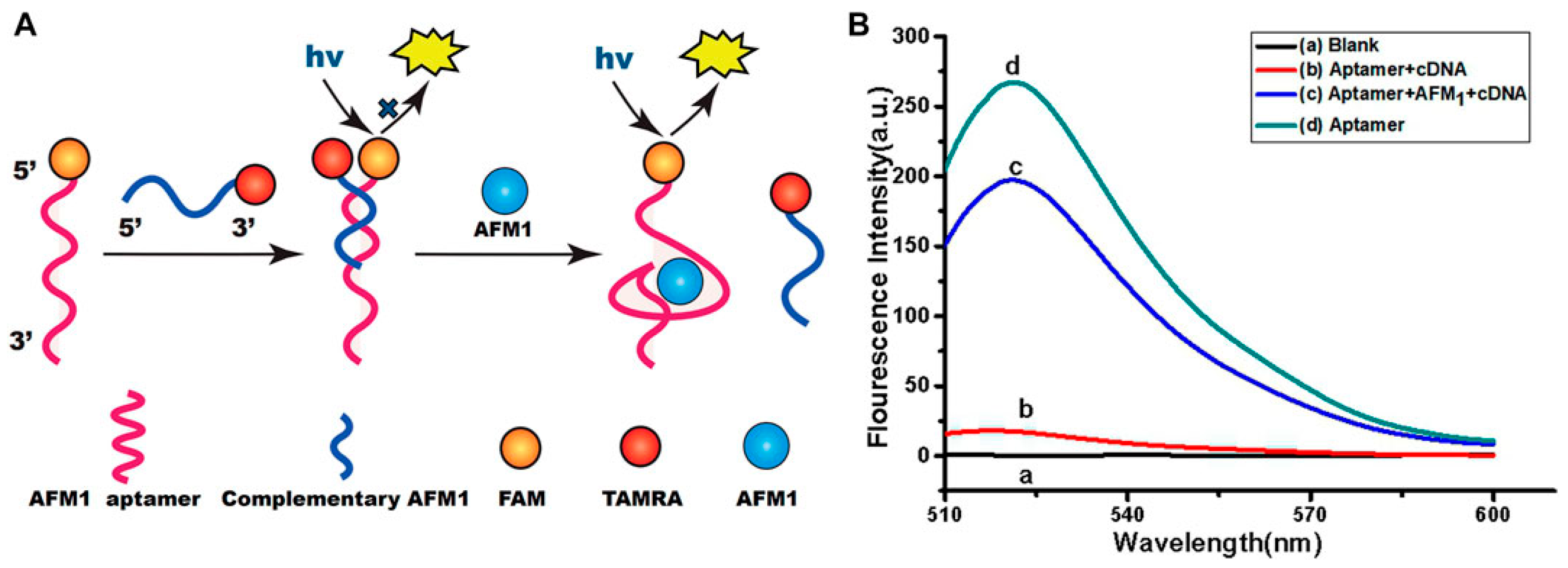 Biosensors 15 00775 g003 Biosensors 15 00775 g003