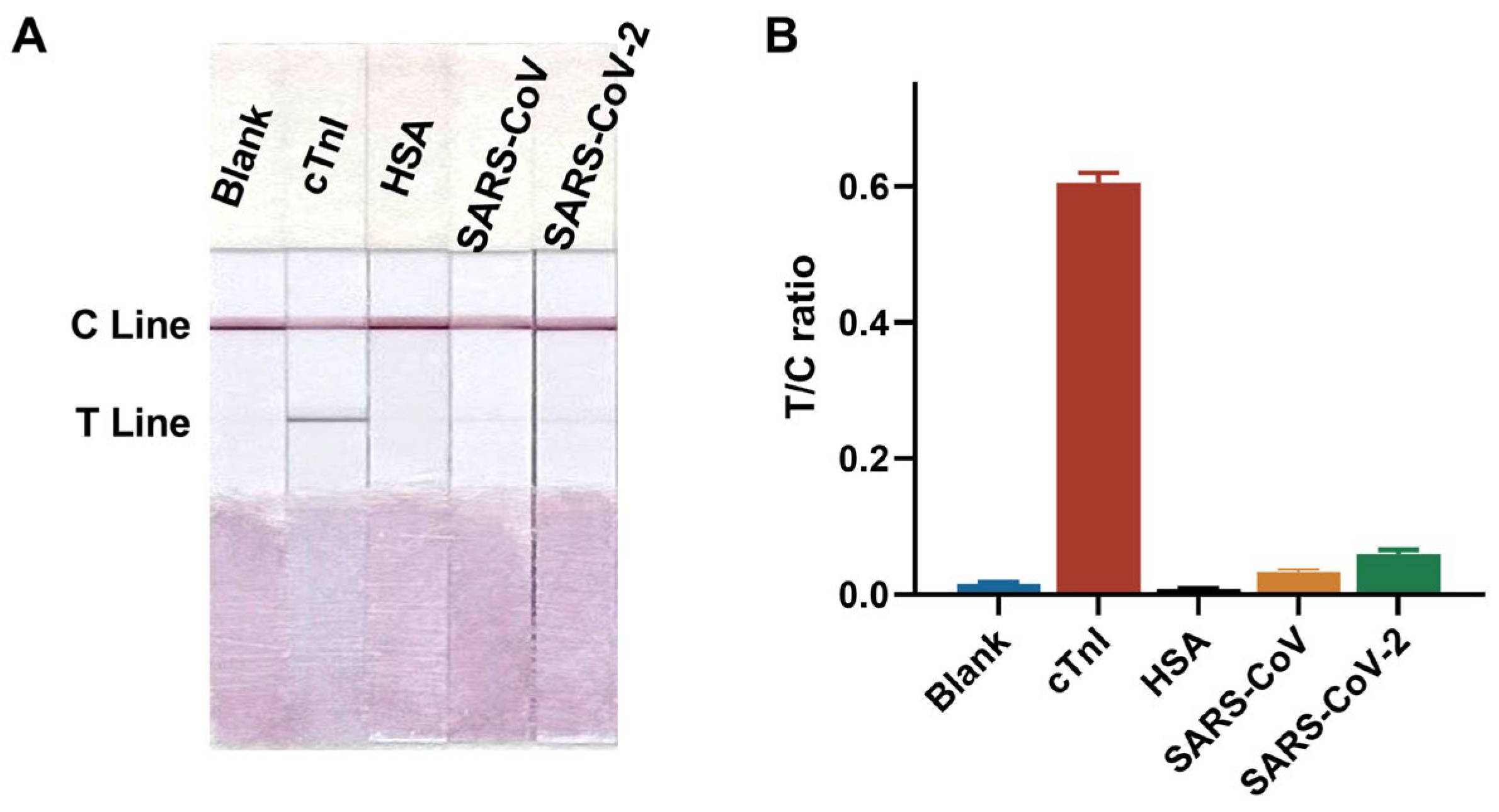 Biosensors 15 00776 g004 Biosensors 15 00776 g004