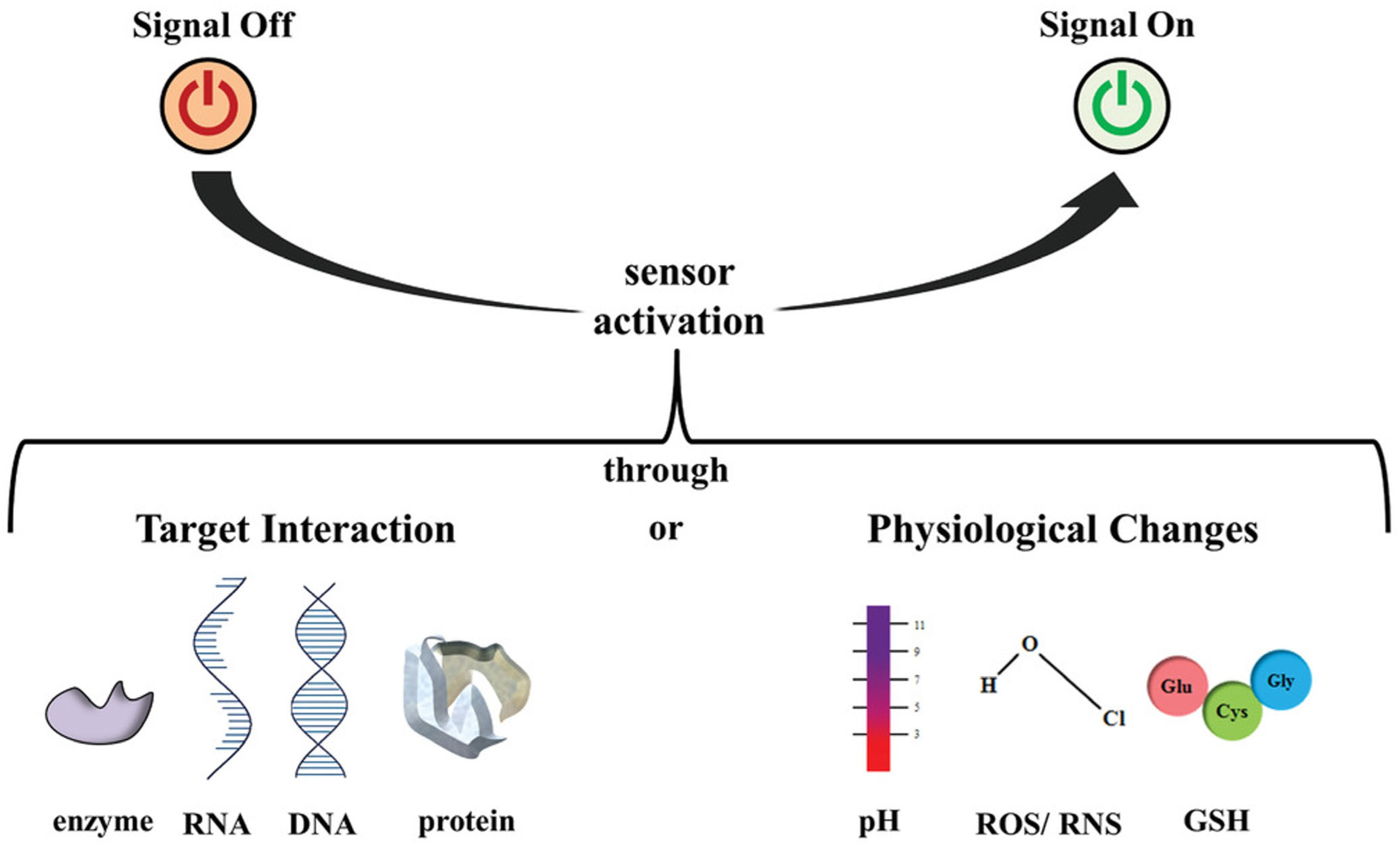 Biosensors 15 00777 g001