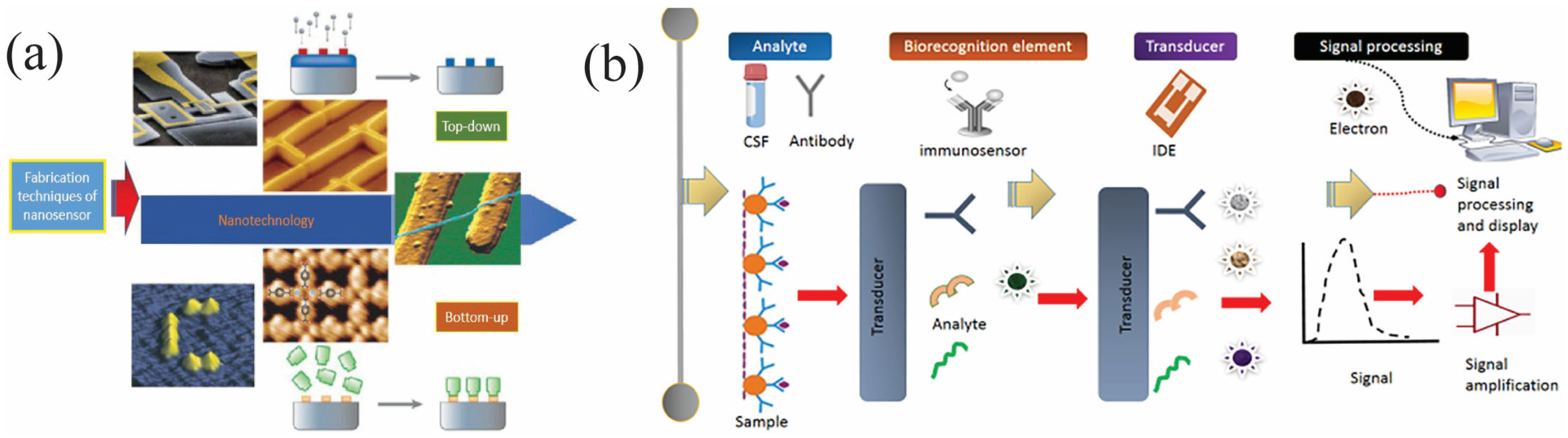 Biosensors 15 00777 g002