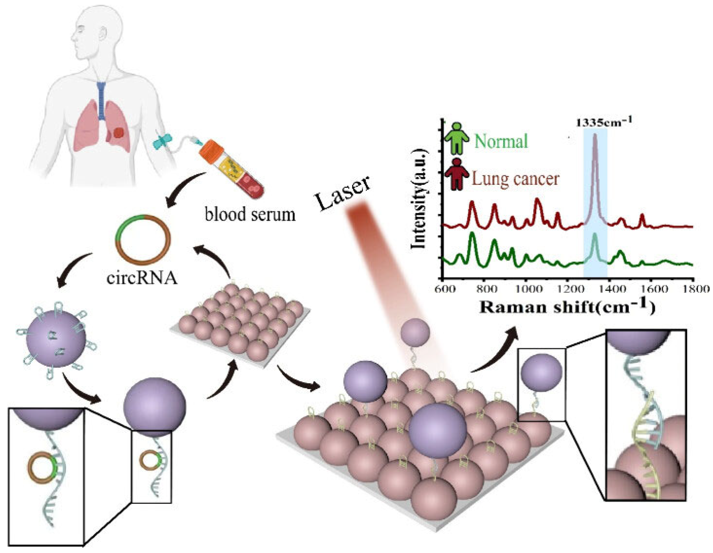 Biosensors 15 00777 g003