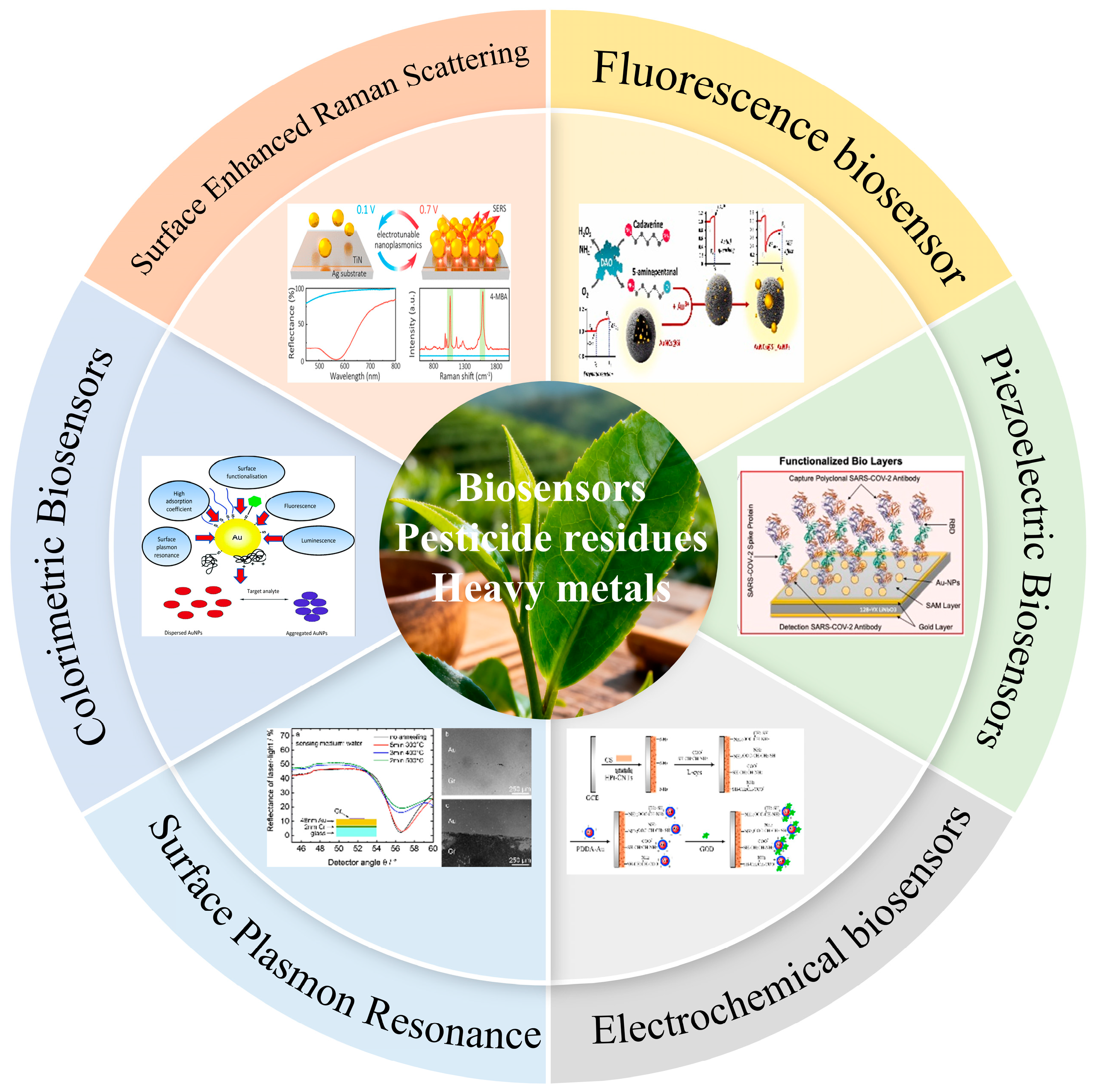 Biosensors 15 00778 g001 Biosensors 15 00778 g001
