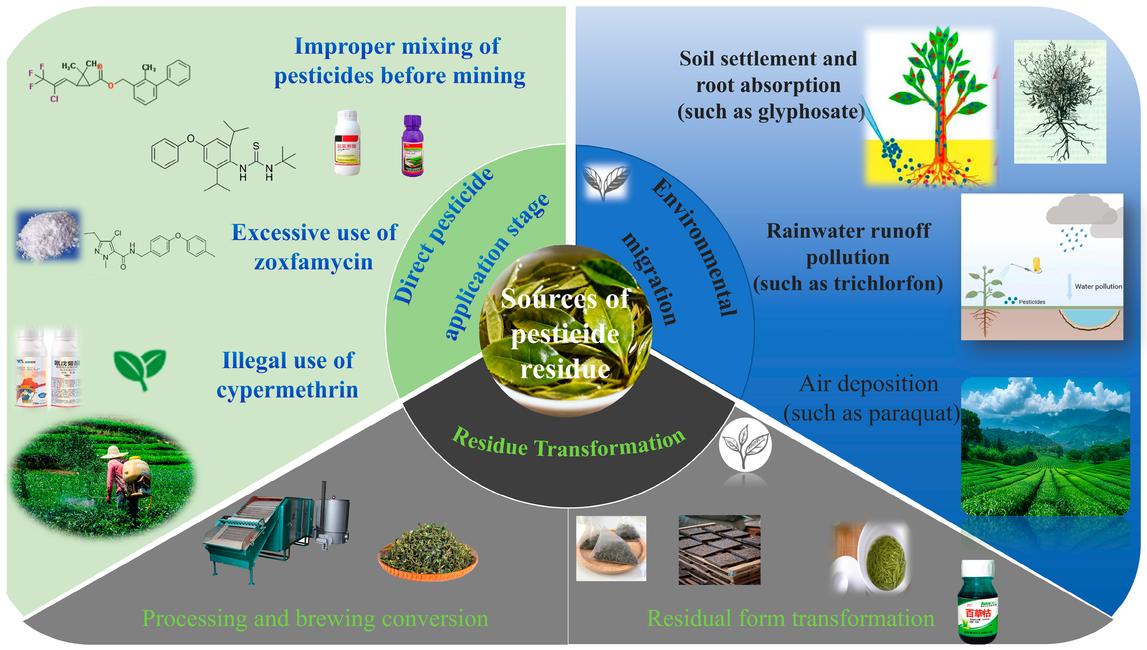 Biosensors 15 00778 g002 Biosensors 15 00778 g002