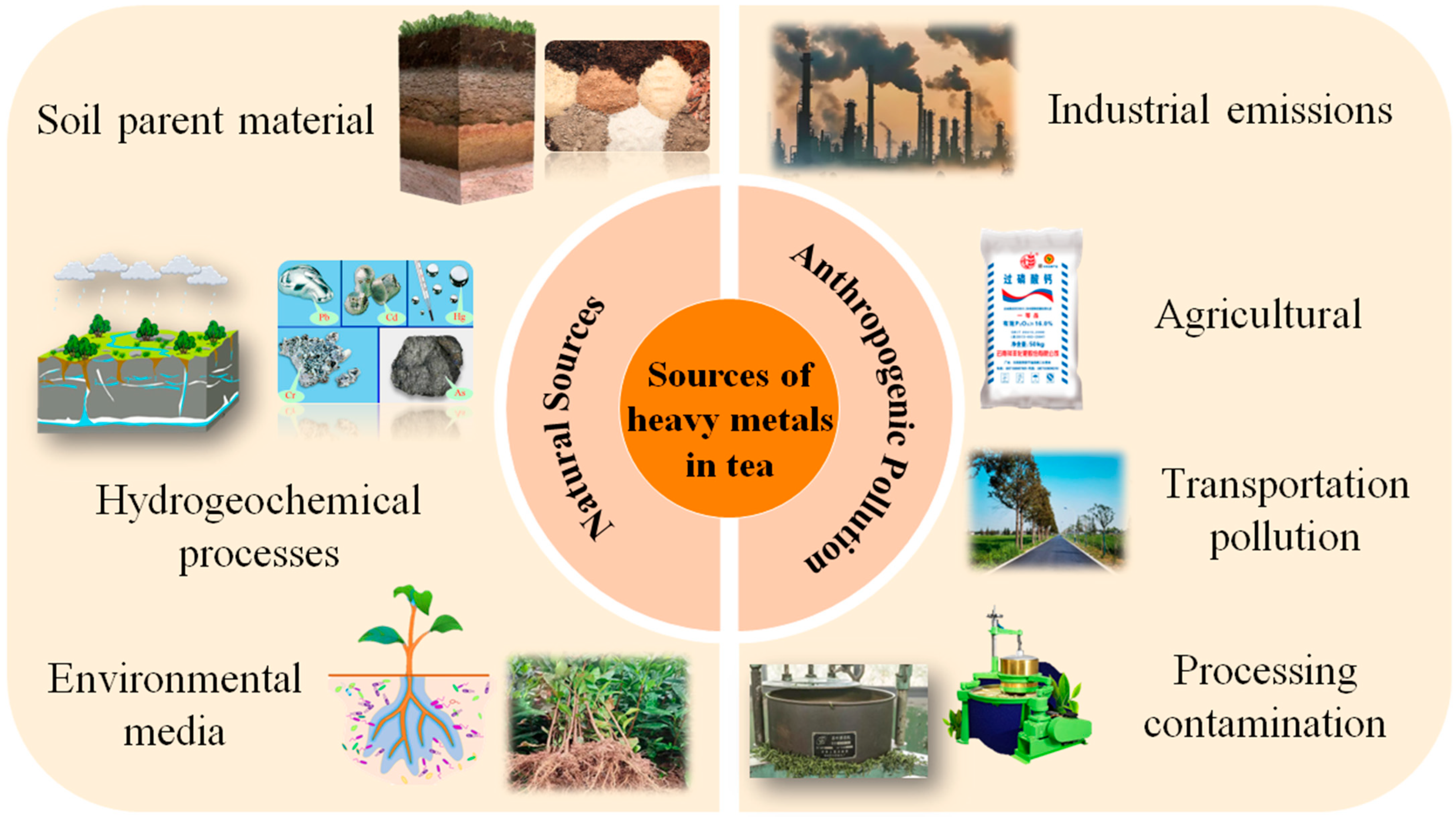 Biosensors 15 00778 g003 Biosensors 15 00778 g003