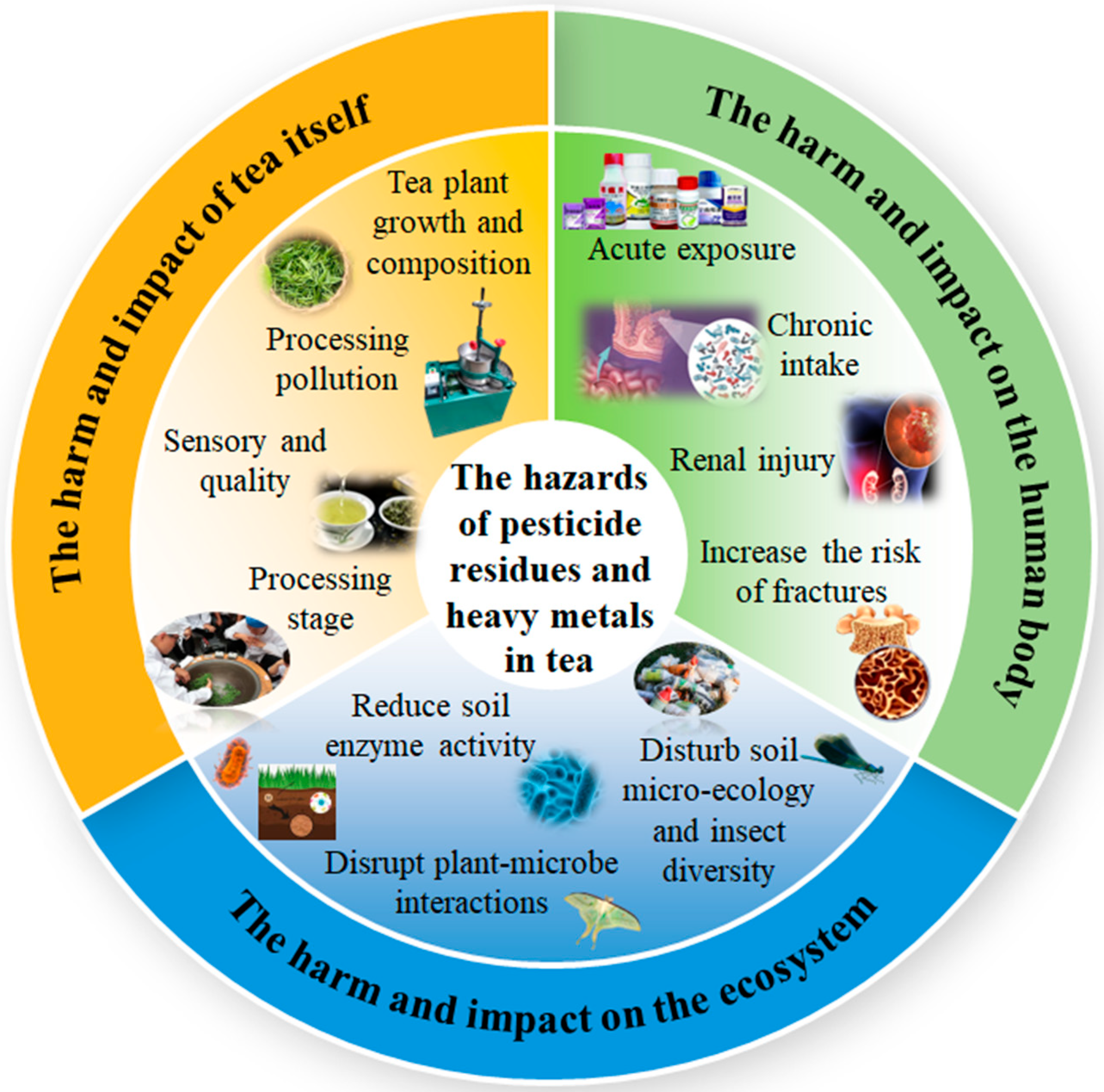 Biosensors 15 00778 g004 Biosensors 15 00778 g004