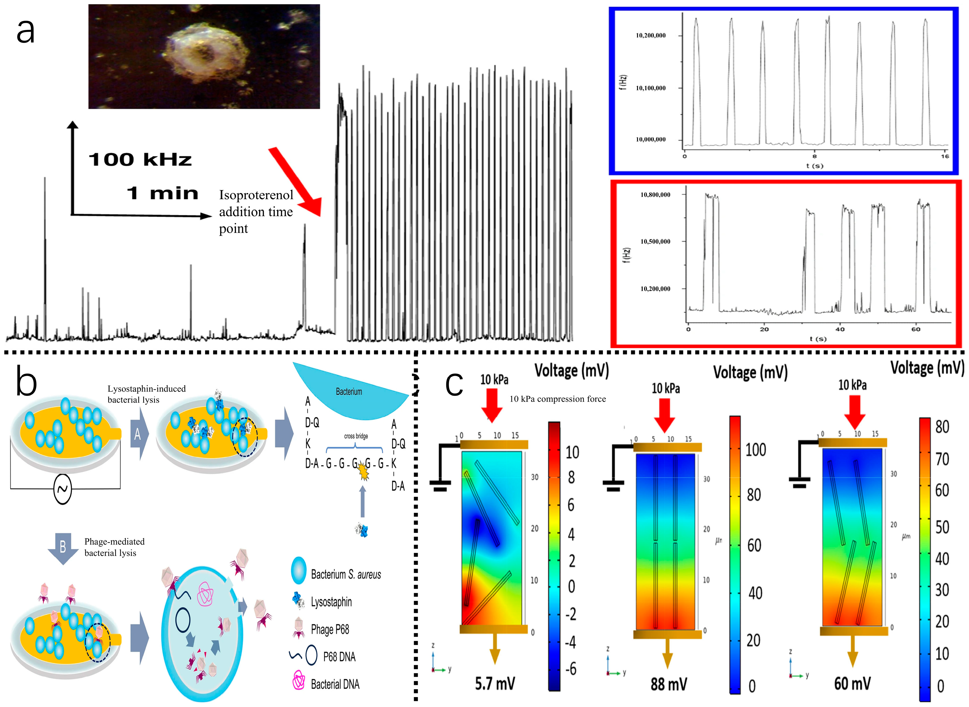 Biosensors 15 00778 g006 Biosensors 15 00778 g006