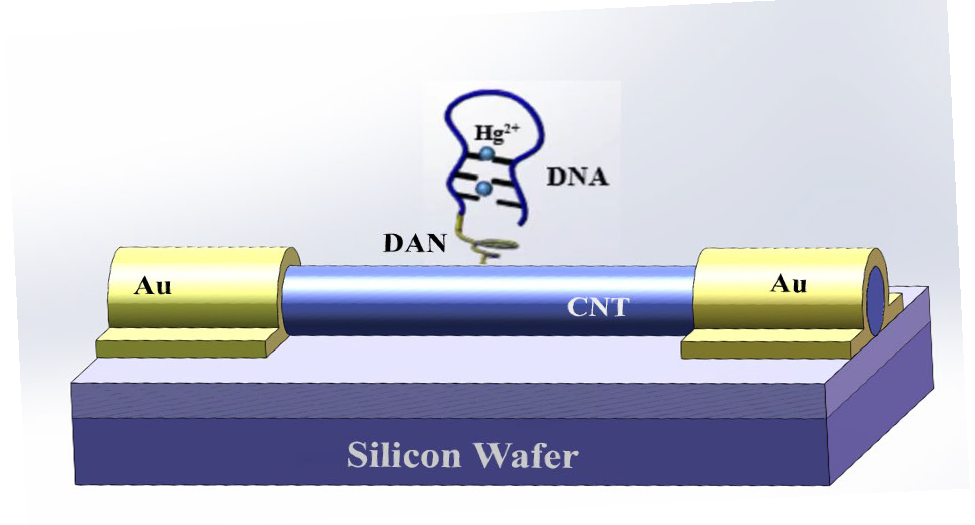 Biosensors 15 00779 g001