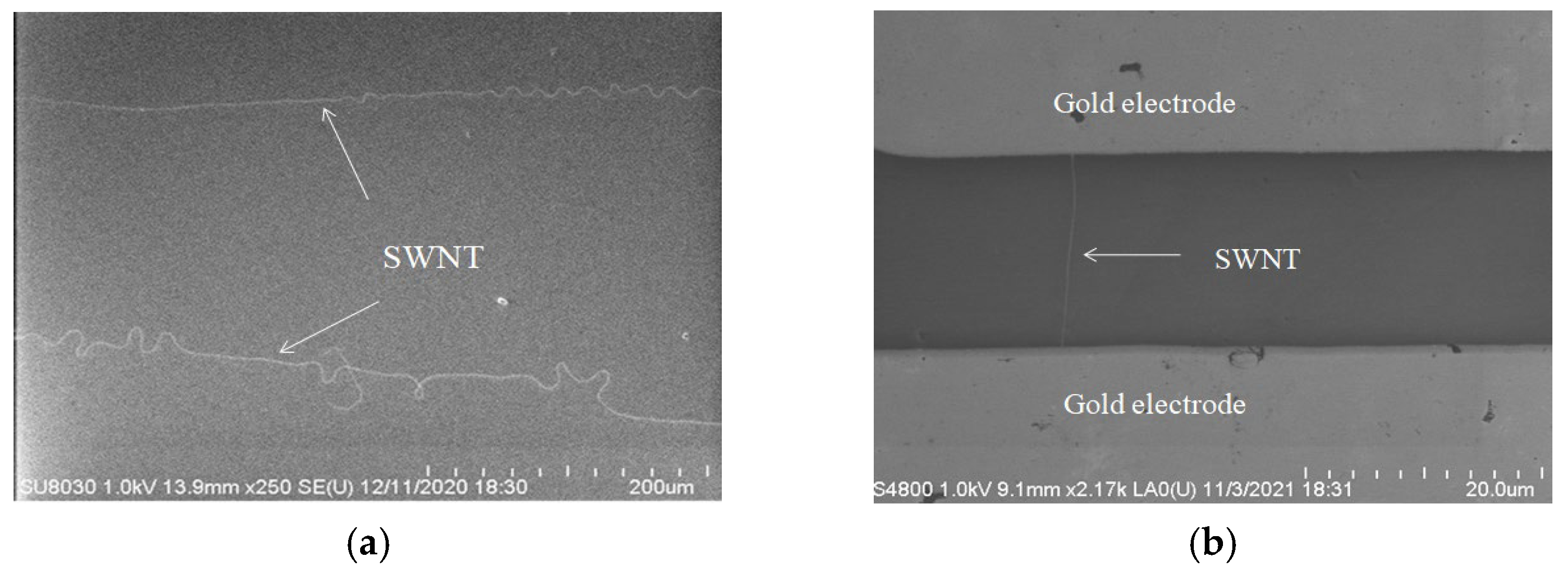 Biosensors 15 00779 g002