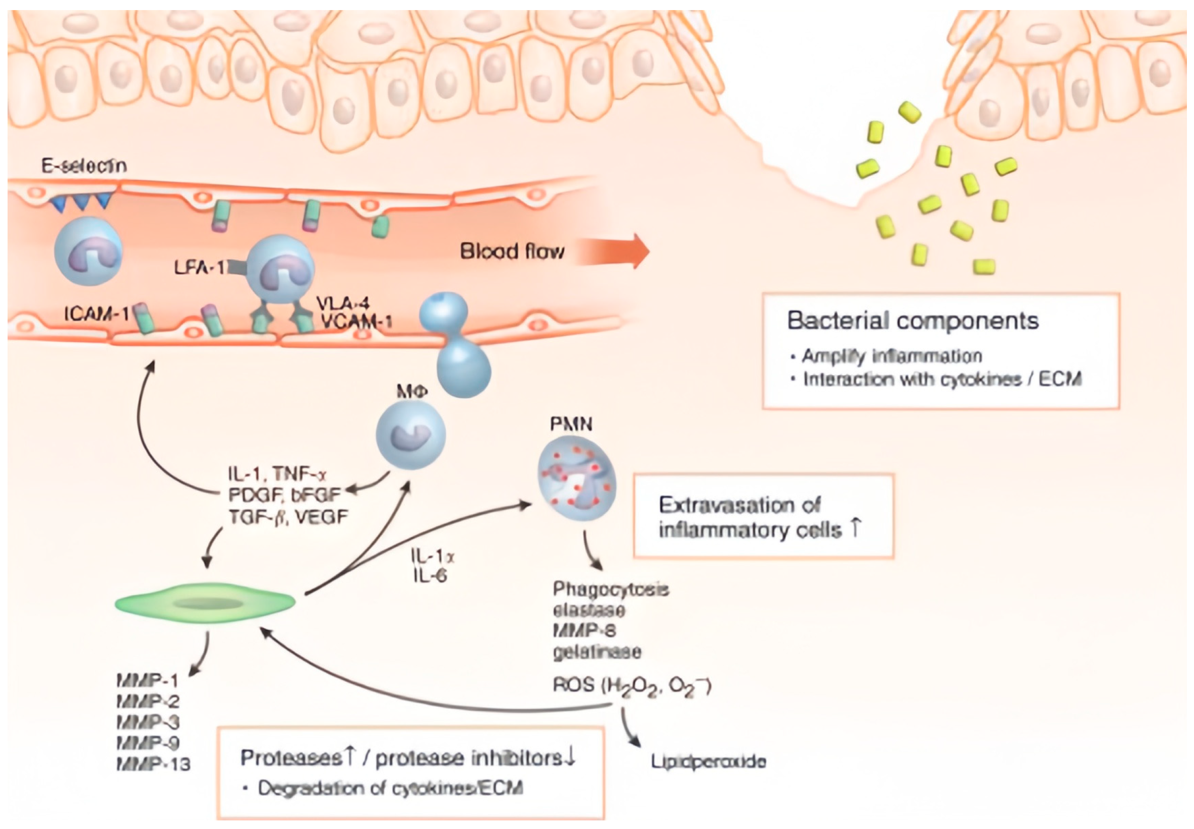 Biosensors 15 00785 g001