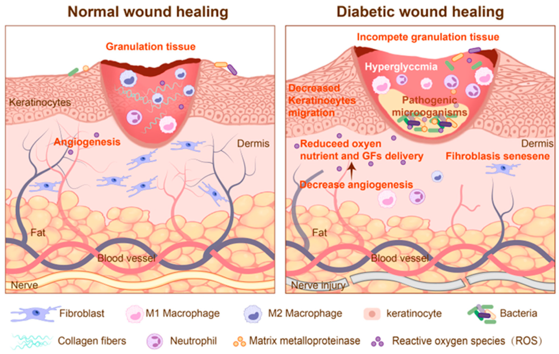 Biosensors 15 00785 g002