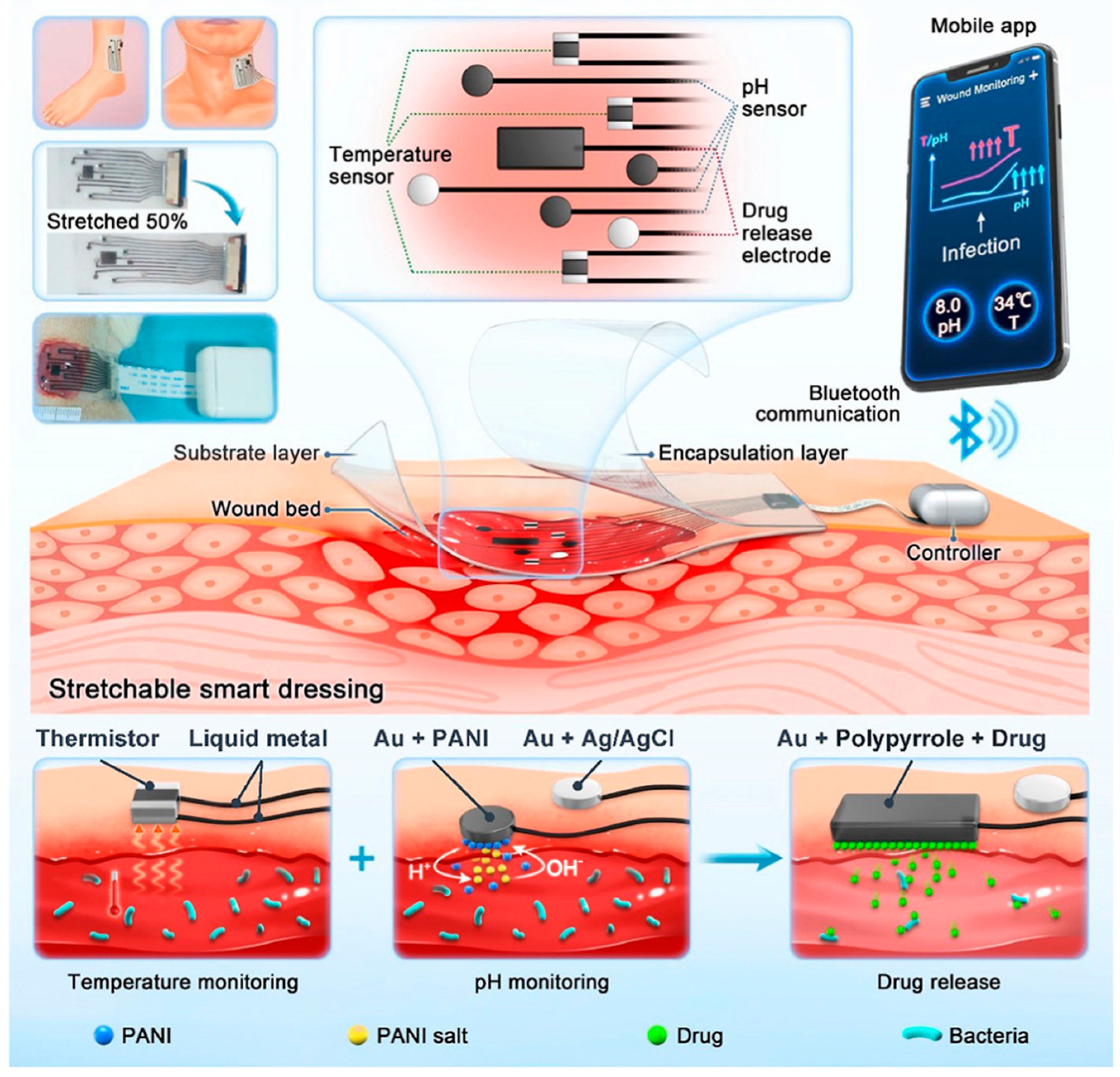 Biosensors 15 00785 g003