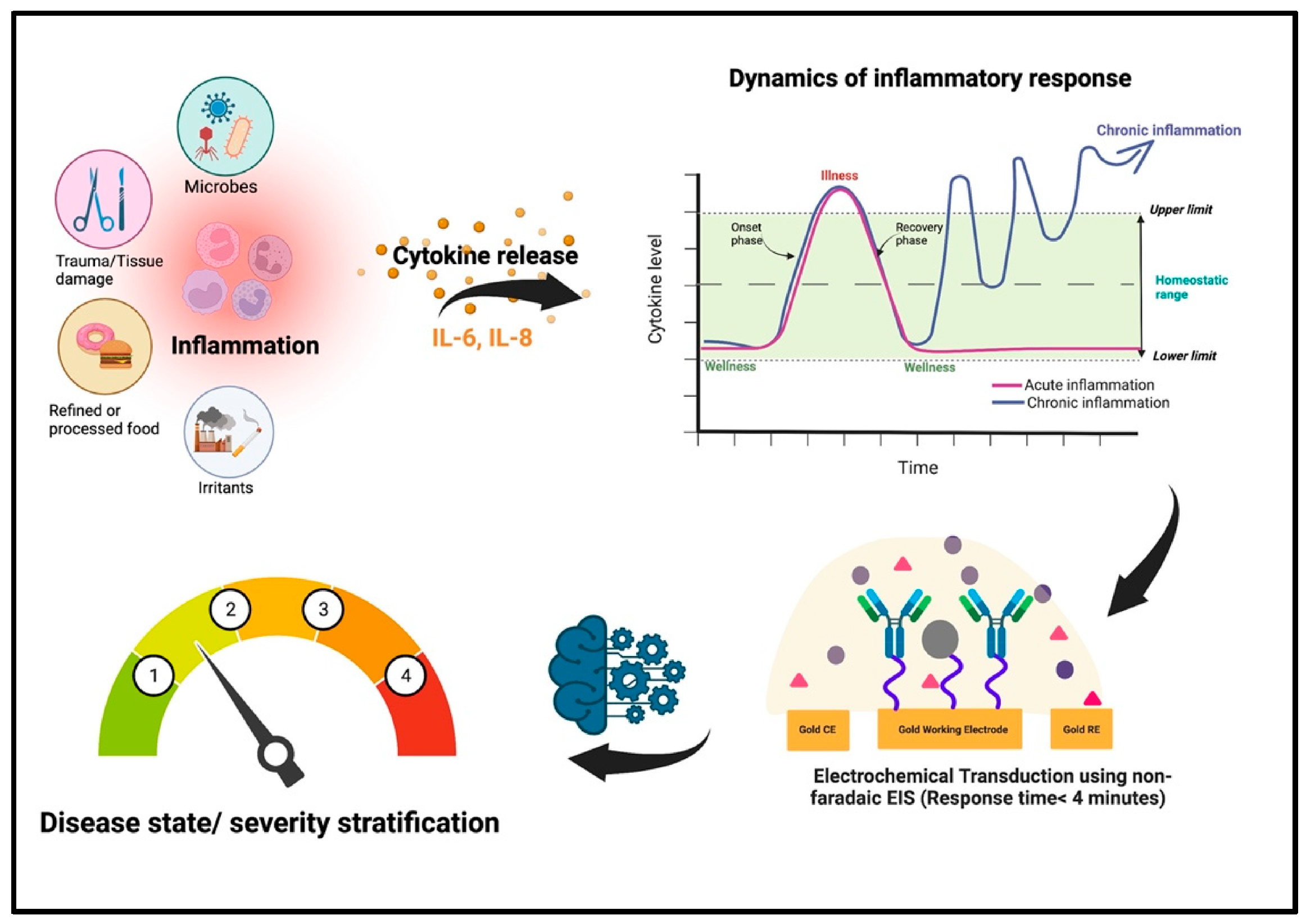 Biosensors 15 00785 g005