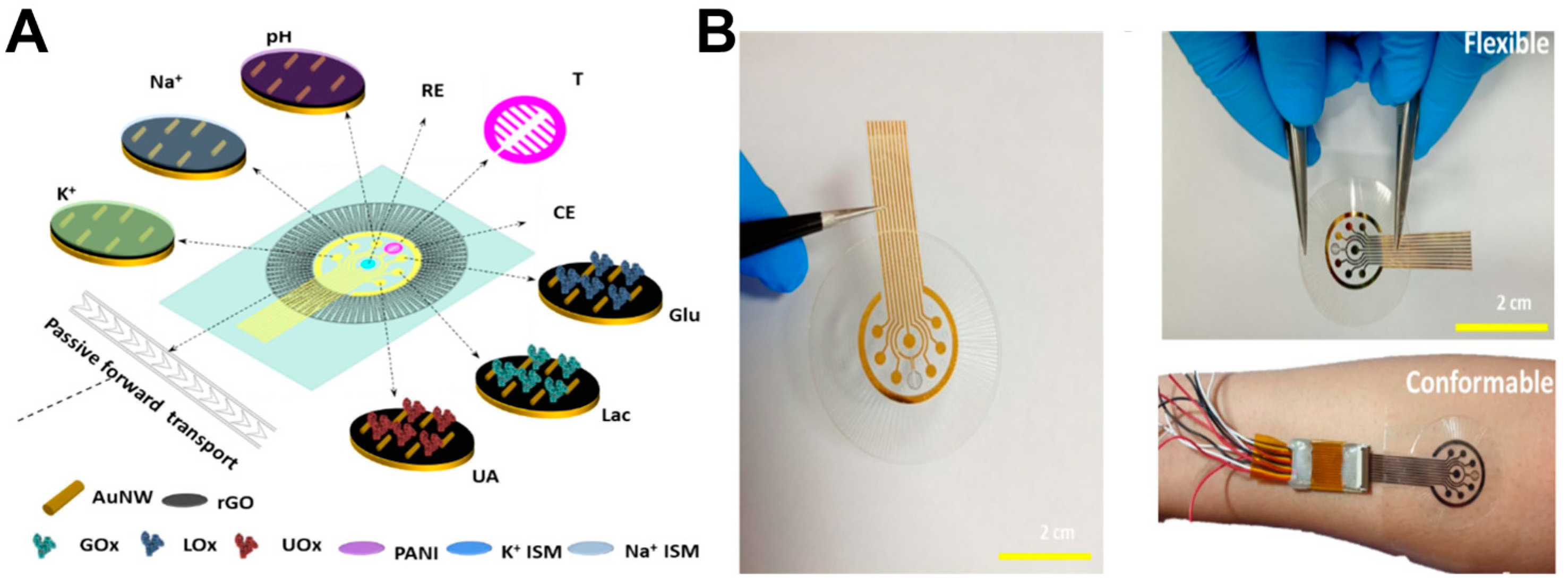 Biosensors 15 00785 g006