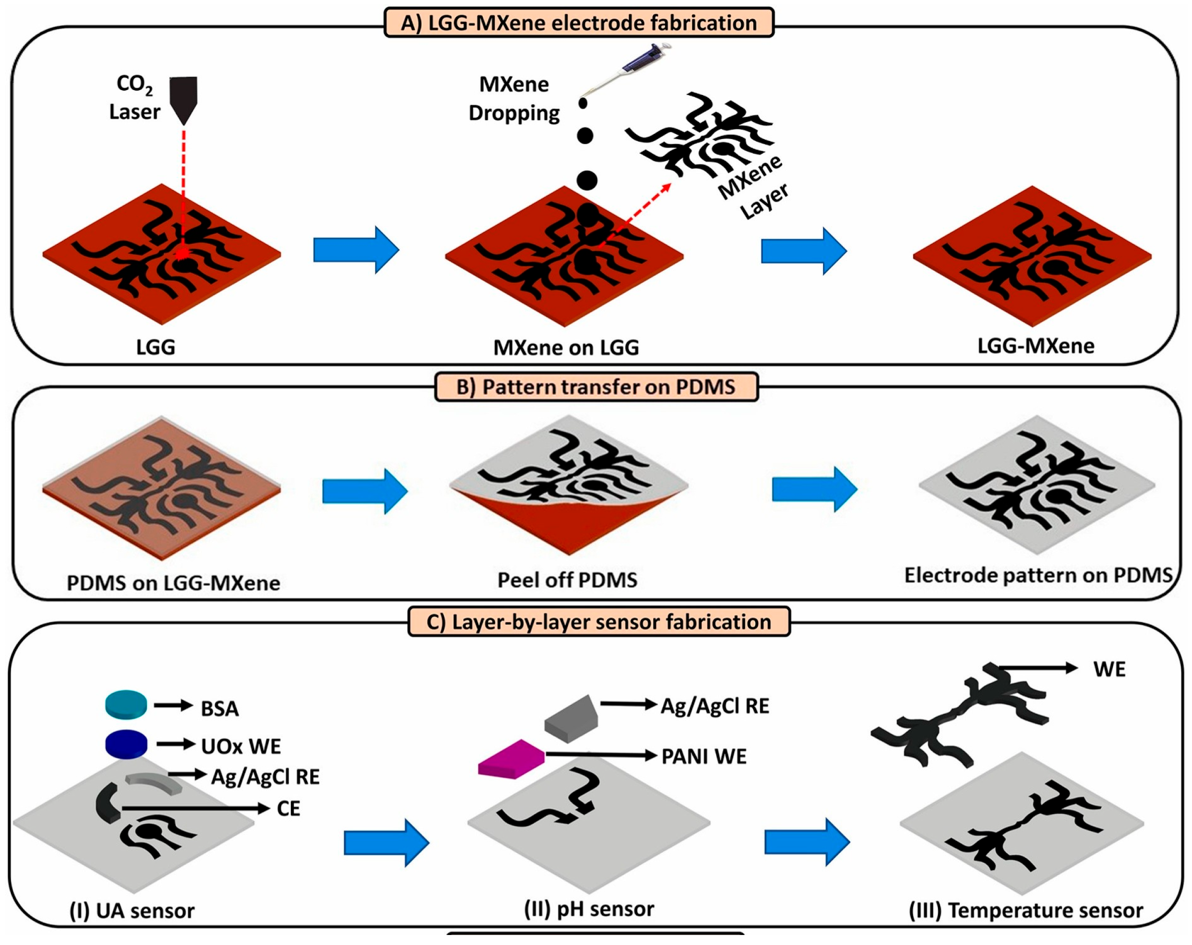Biosensors 15 00785 g008
