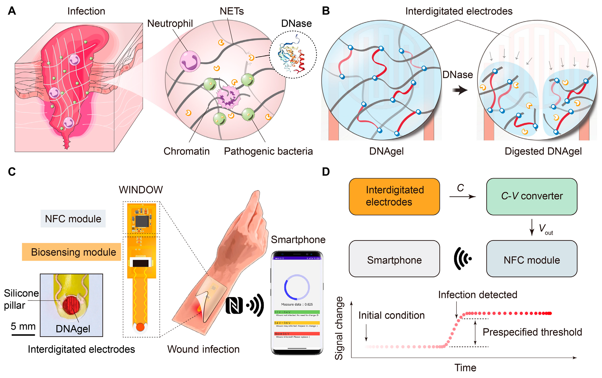 Biosensors 15 00785 g010
