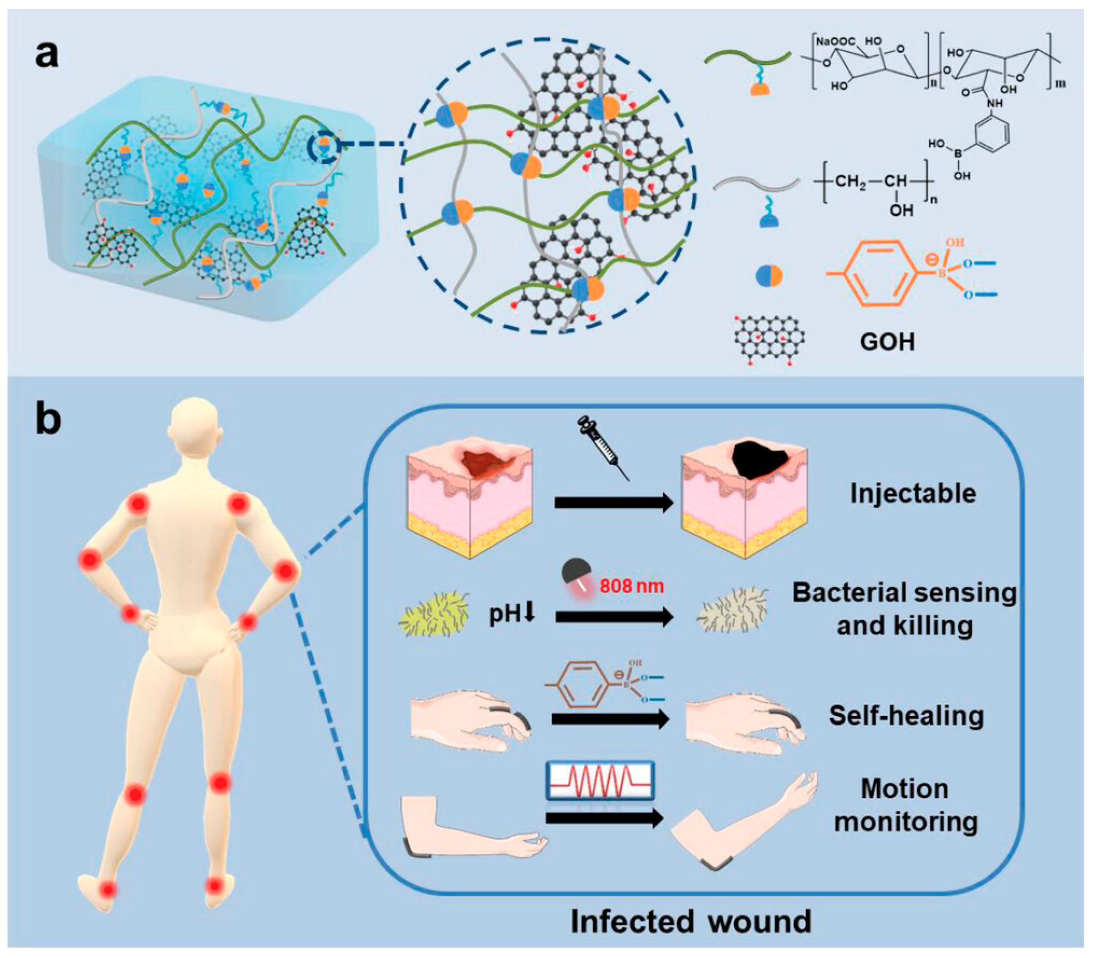 Biosensors 15 00785 g012