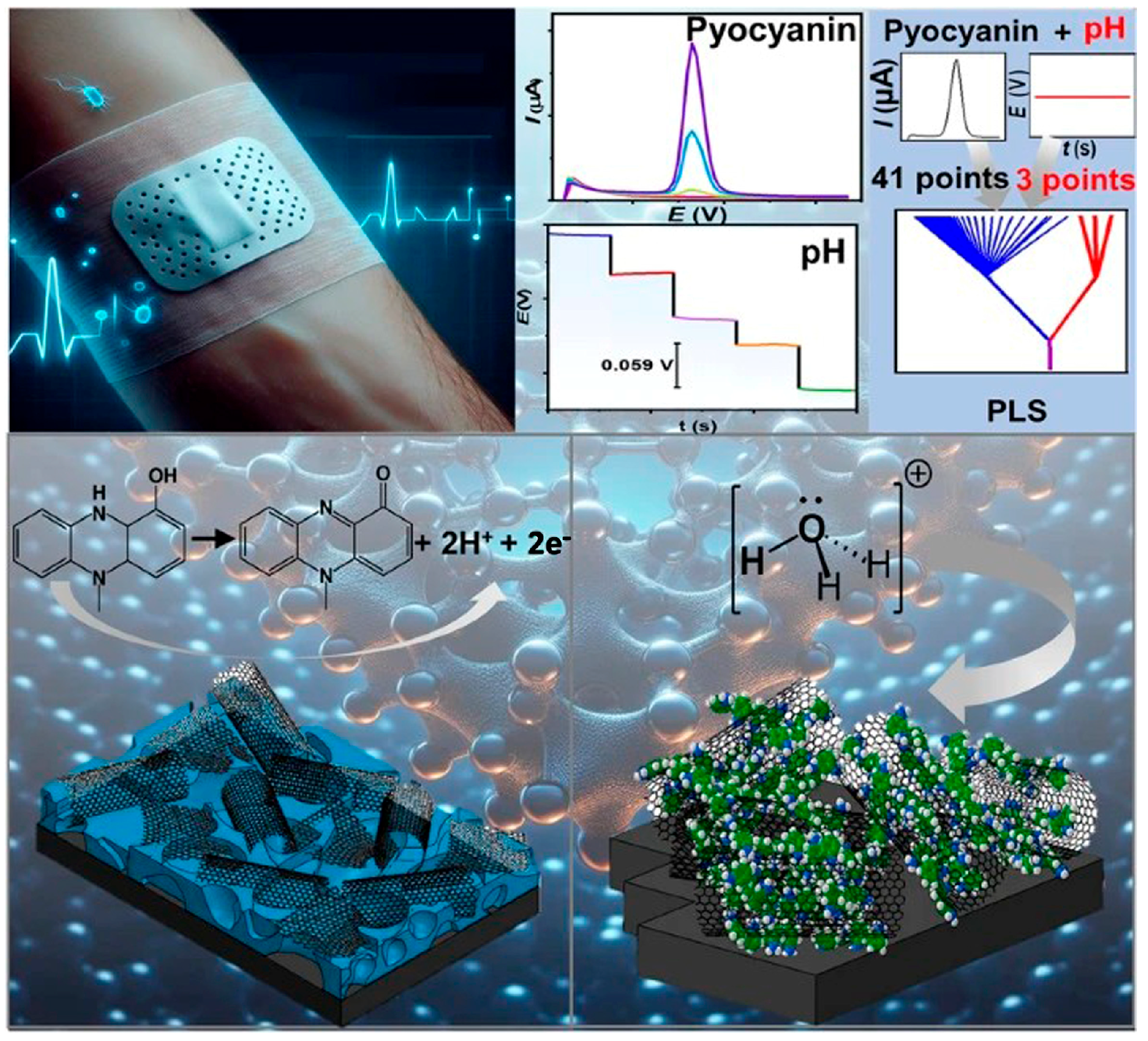 Biosensors 15 00785 g013