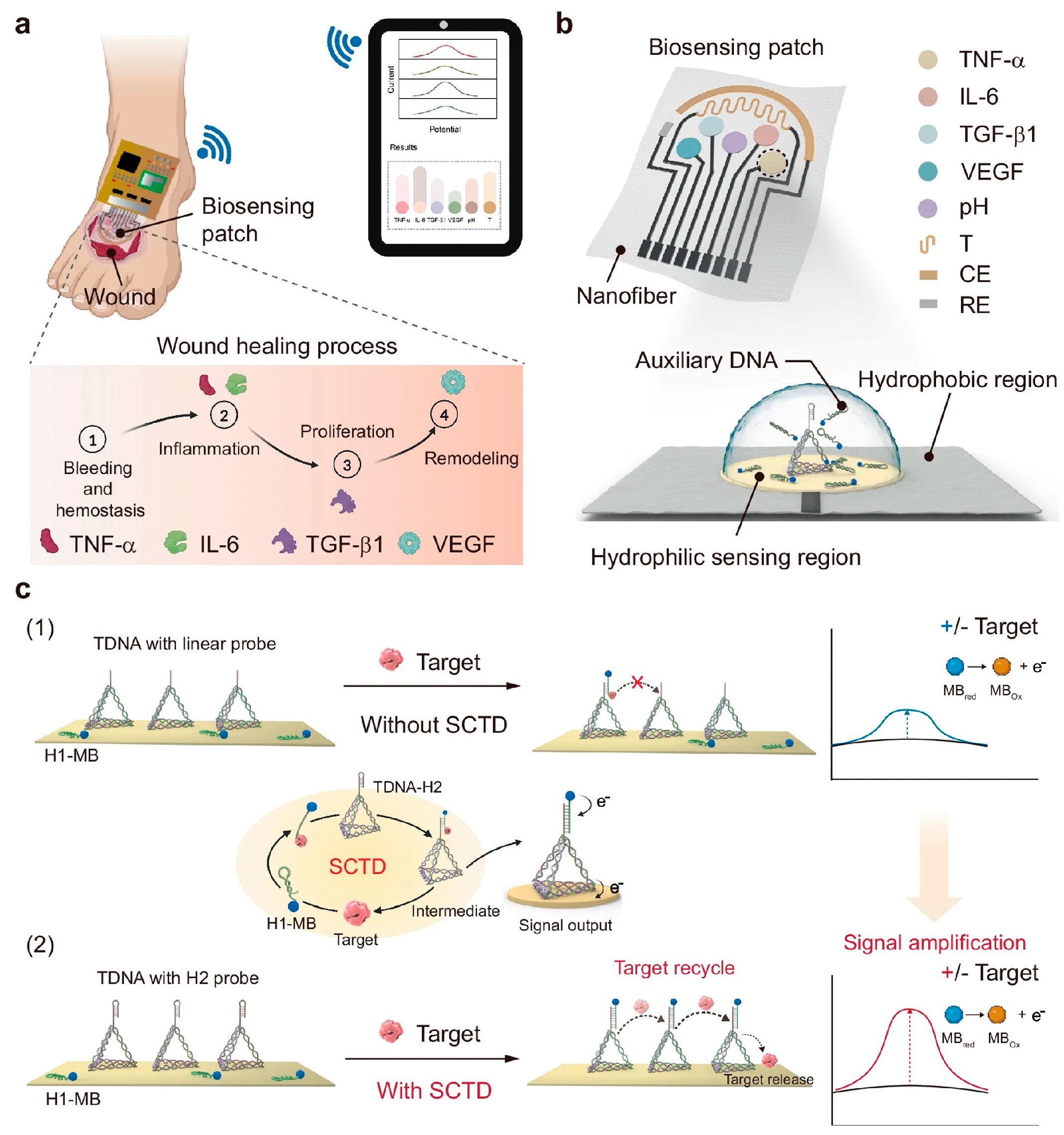 Biosensors 15 00785 g014