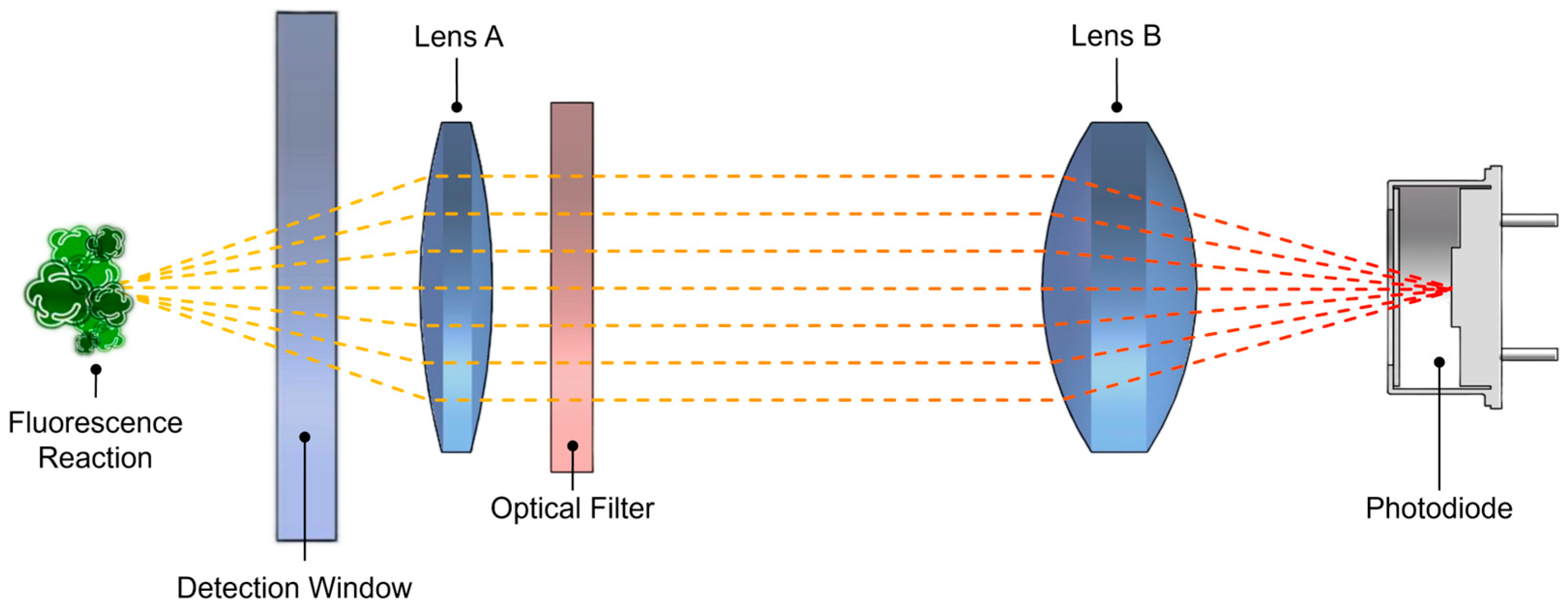 Biosensors 15 00787 g002