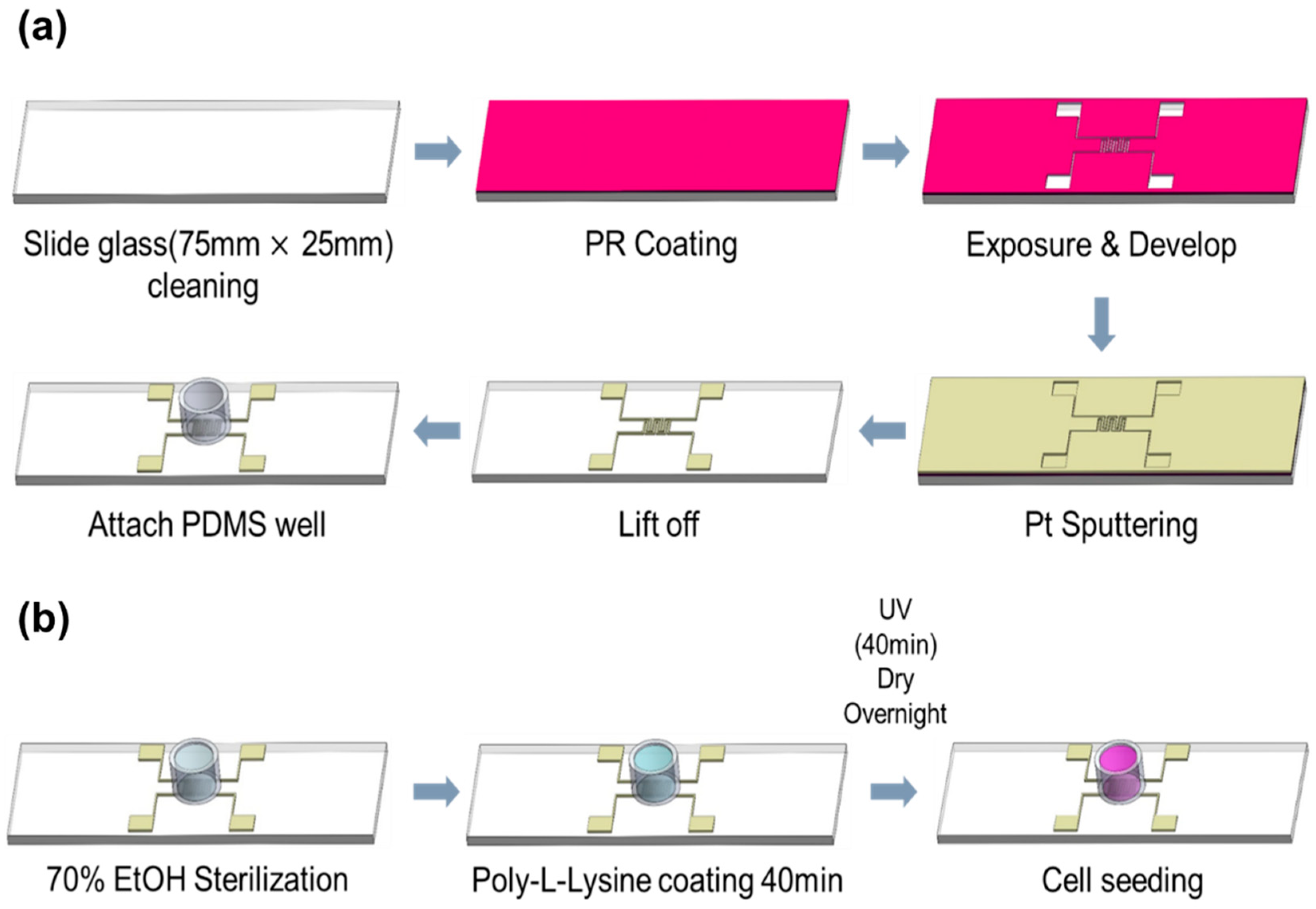Biosensors 15 00788 g001