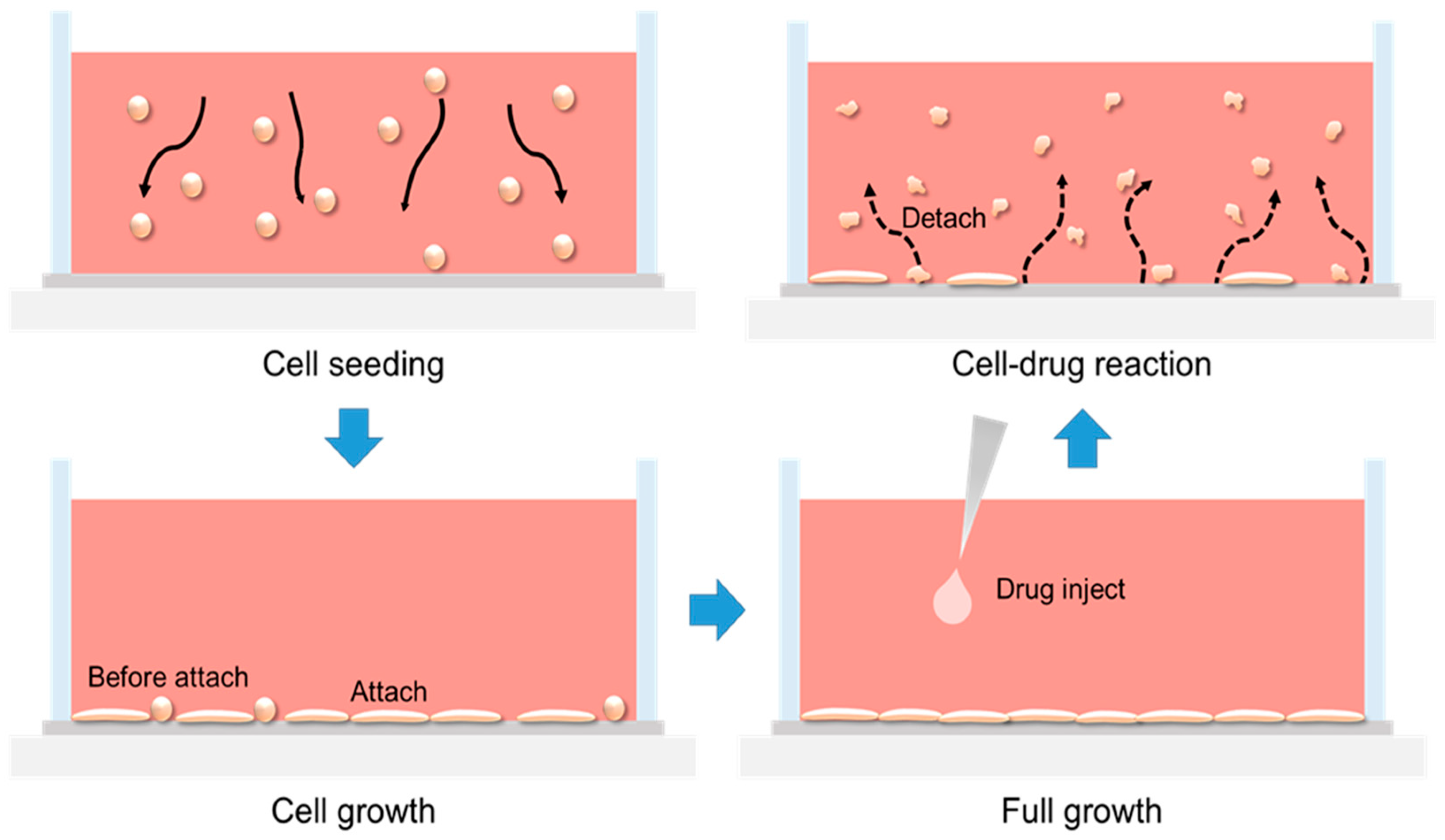 Biosensors 15 00788 g0a3